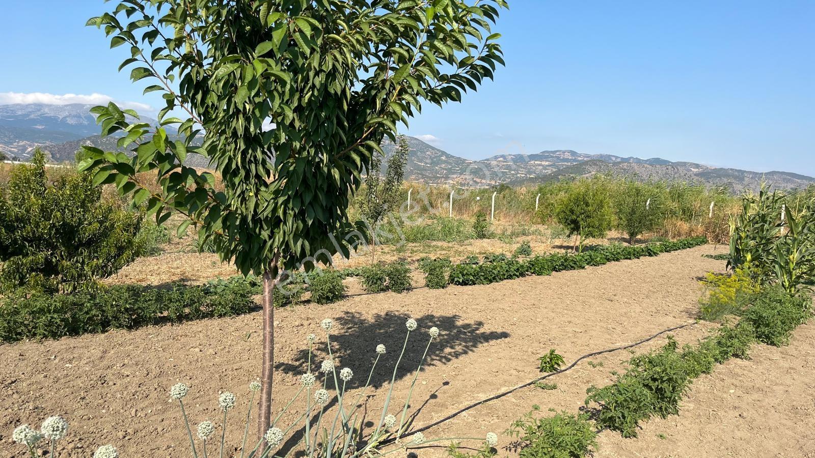 Suluova Doğankent'de Huzur Dolu Satılık Hobi Bahçesi - Görsel 6