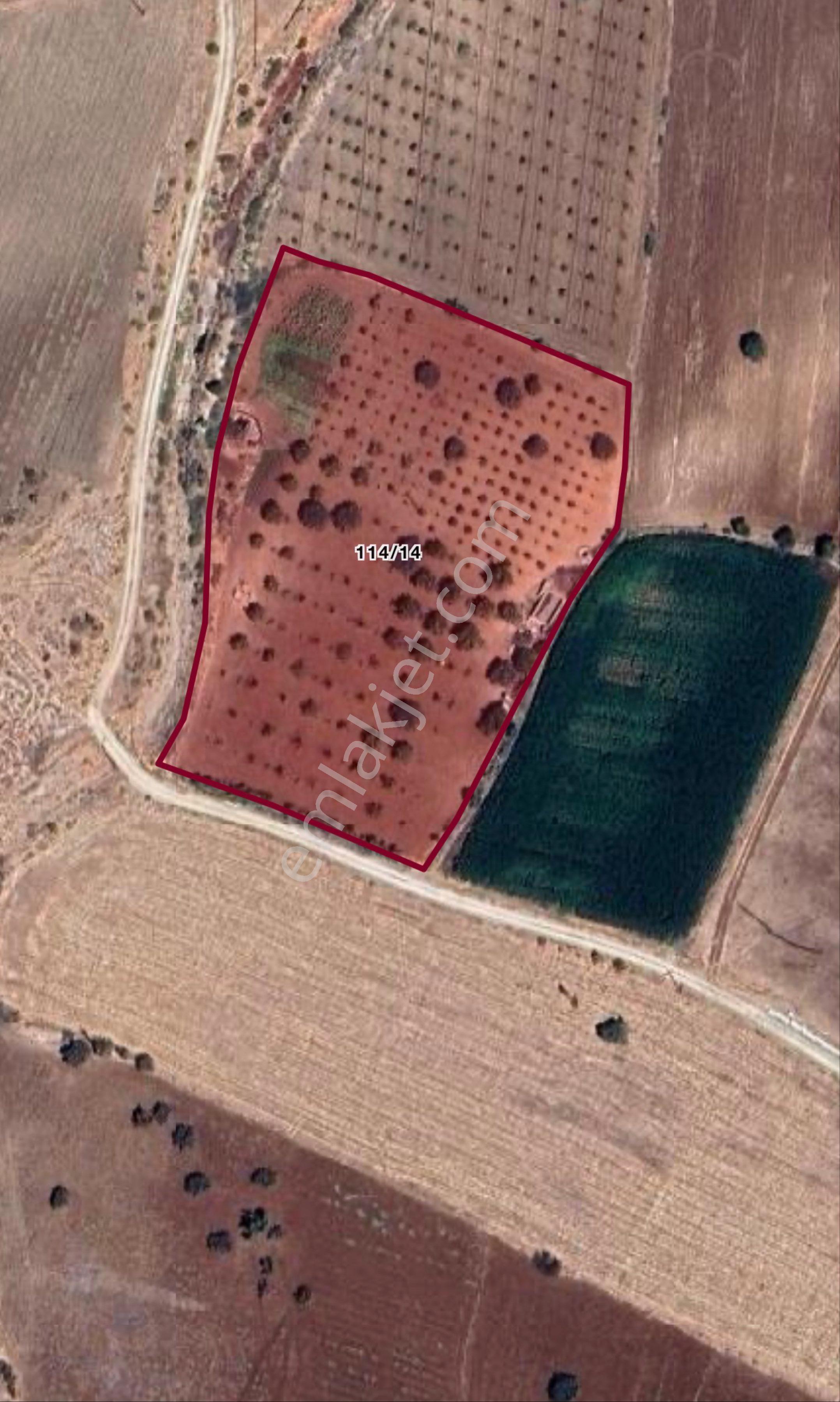 Beymahall Gayrimenkul'den Tekirsin'de Yatırımlık Arazi