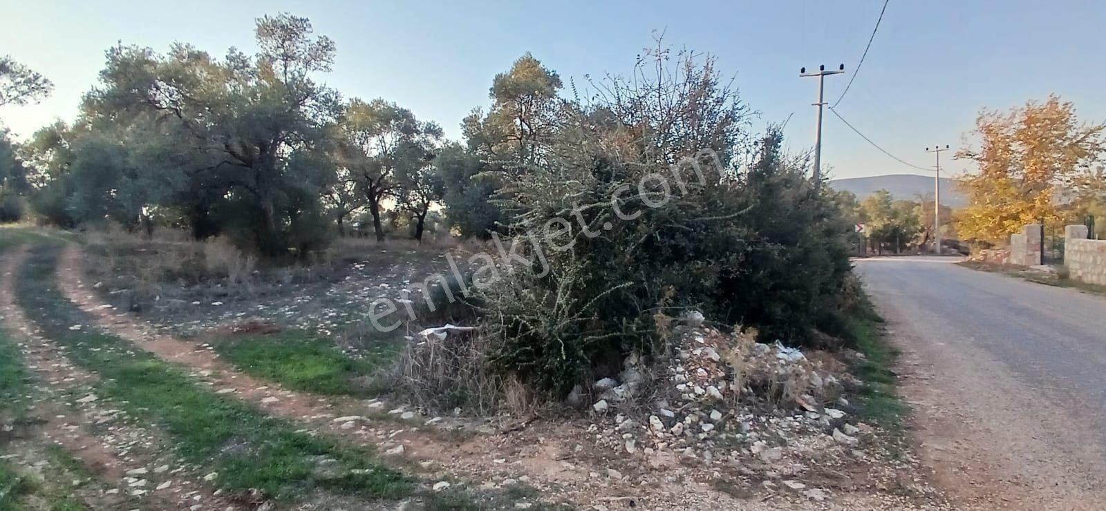 Milas Söğütcük De 1122 M2 Yola Cepheli,yatırım Yaşam Fırsatı! - Görsel 14