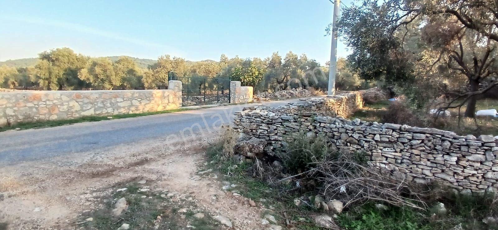 Milas Söğütcük De 1122 M2 Yola Cepheli,yatırım Yaşam Fırsatı! - Görsel 13