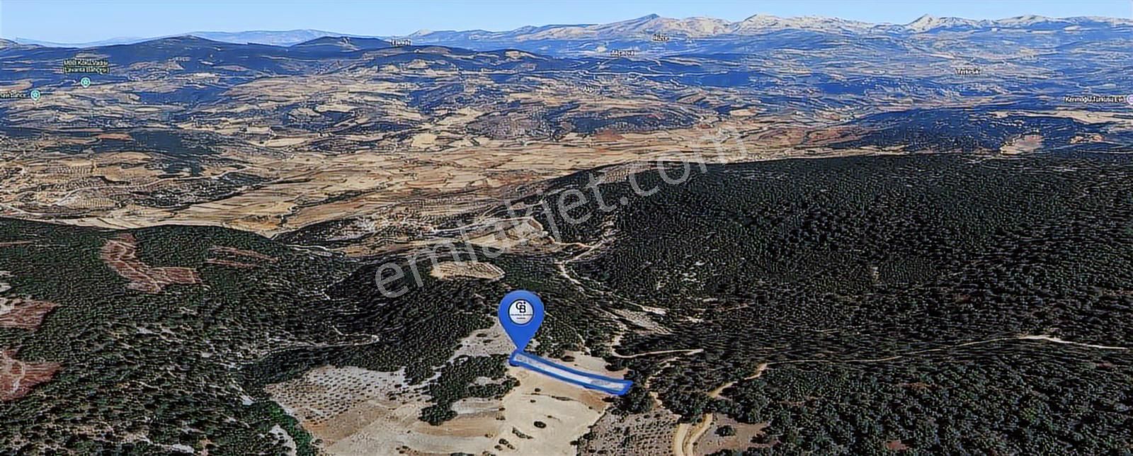 Muğla Fadılcada Orman İçinde 1.797 M² Müstakil Tarla - Görsel 4