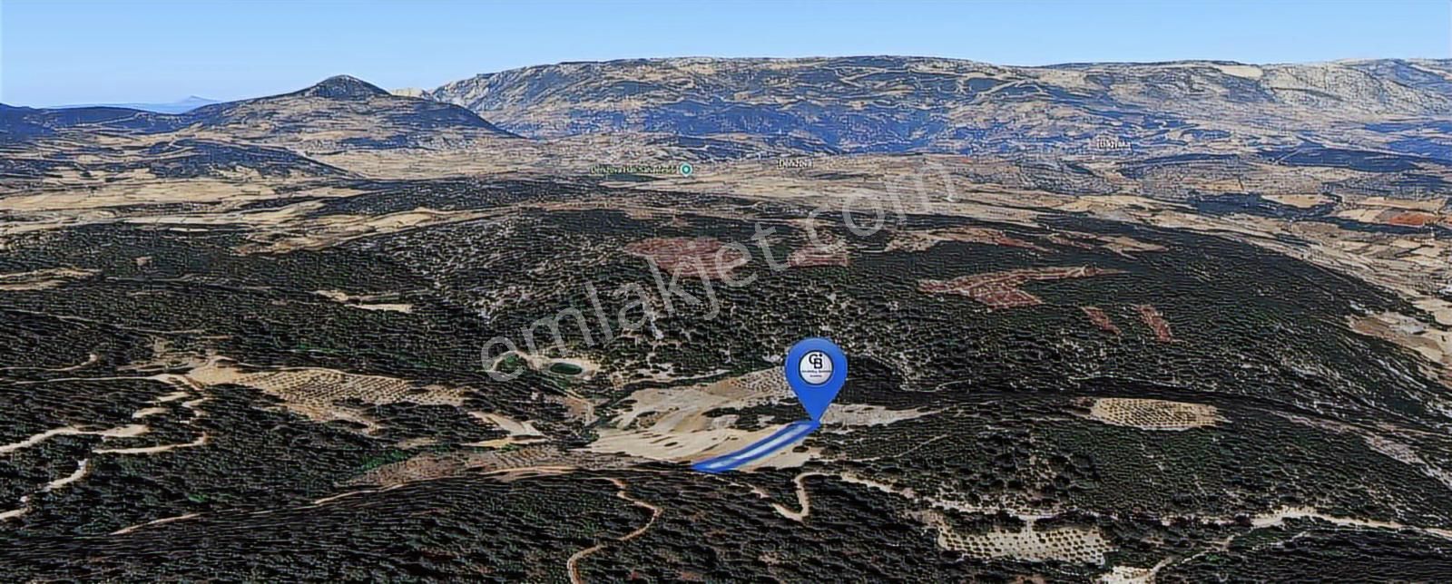 Muğla Fadılcada Orman İçinde 1.797 M² Müstakil Tarla - Görsel 5