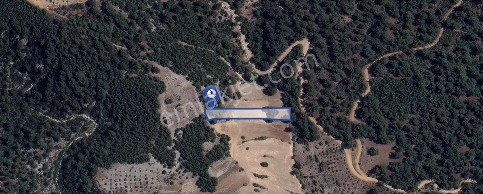 Muğla Fadılcada Orman İçinde 1.797 M² Müstakil Tarla - Görsel 2