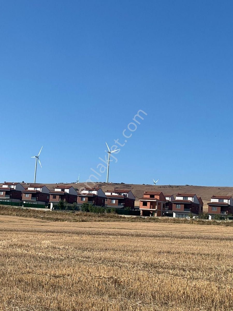 Silivri Balaban Da Yerleşim İçinde - Görsel 12
