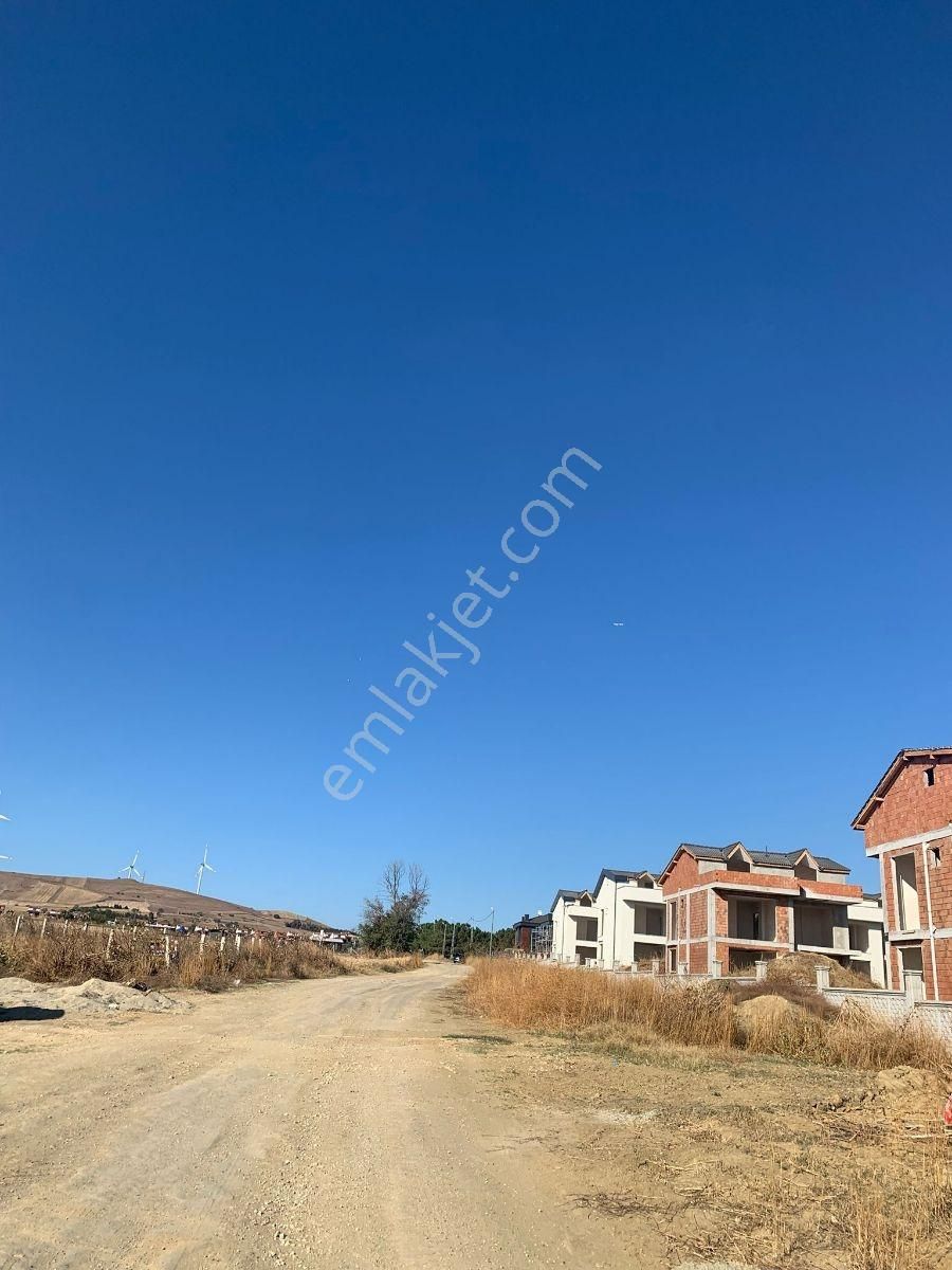 Silivri Balaban Da Yerleşim İçinde - Görsel 11