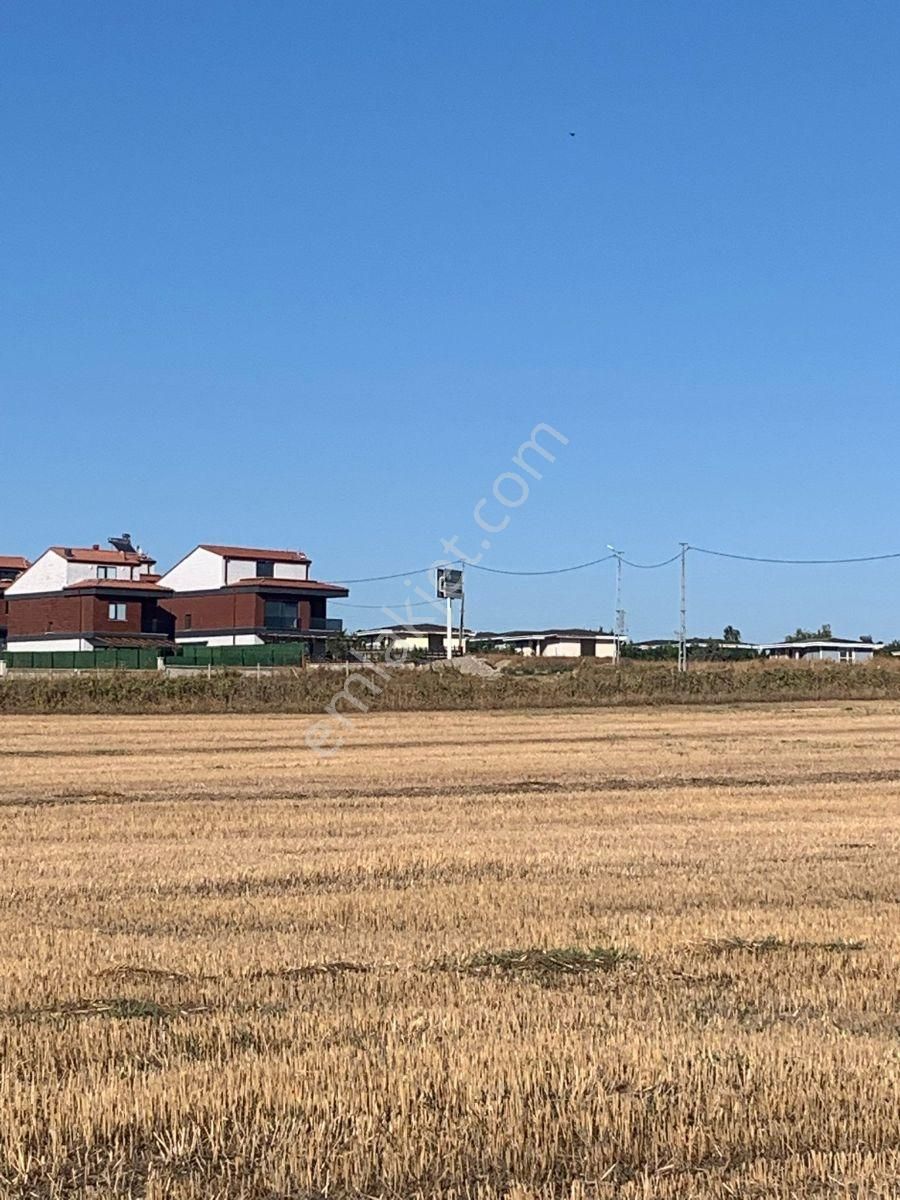 Silivri Balaban Da Yerleşim İçinde - Görsel 14