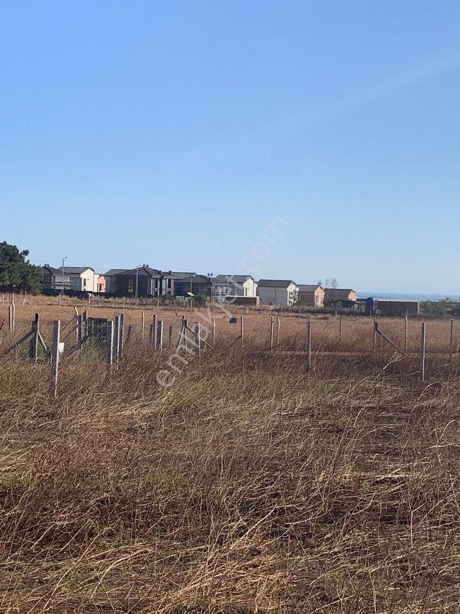 Silivri Balaban Da Yerleşim İçinde - Görsel 4