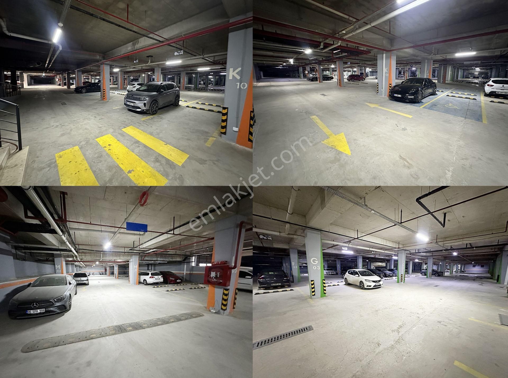 Cihandan Ovacık Natura'da Modern Mimari , Konforlu Lüks 4+1 - Görsel 2