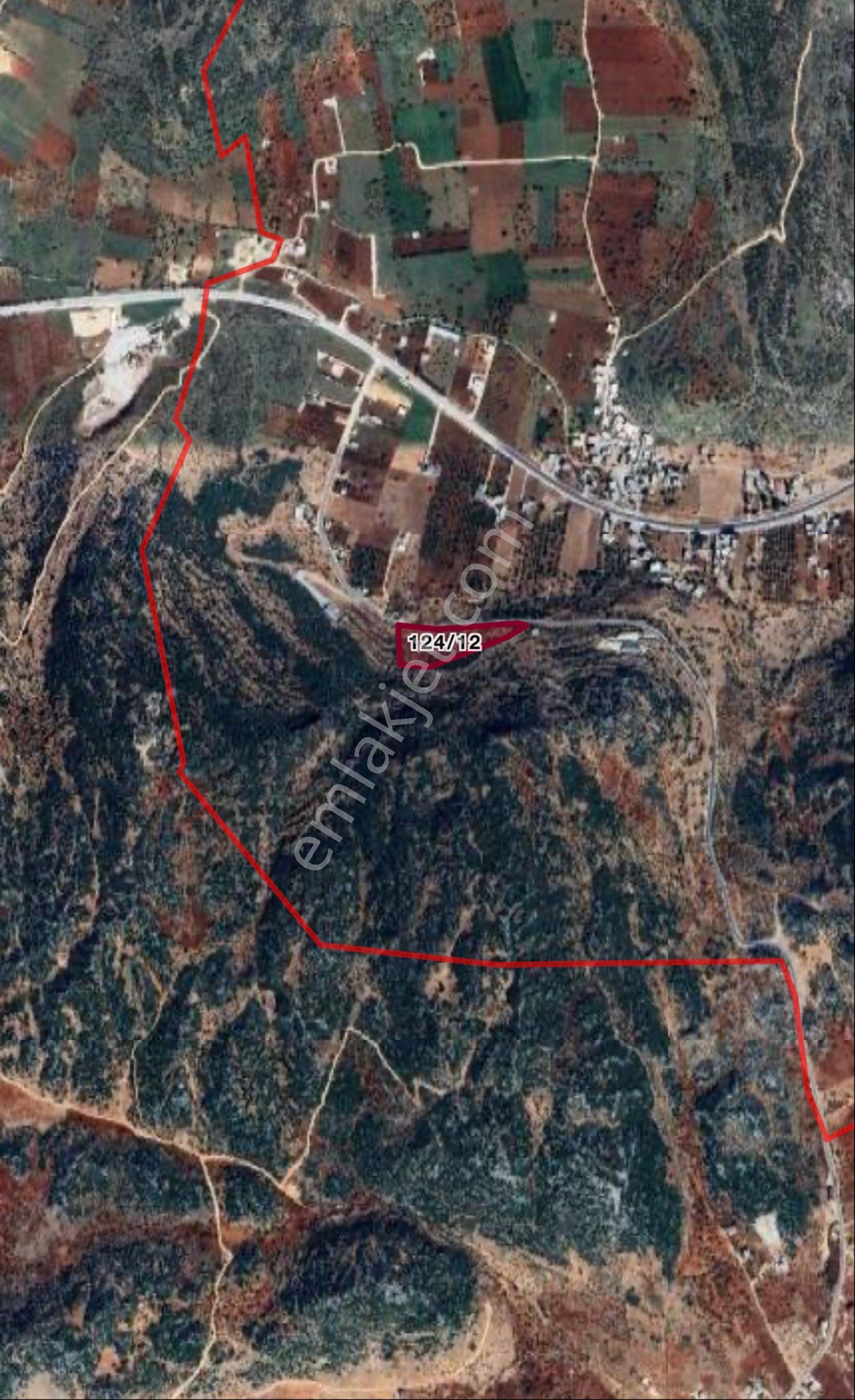 Beymahall Gayrimenkul'den Yeşilce'de Yatırımlık Arazi - Görsel 2