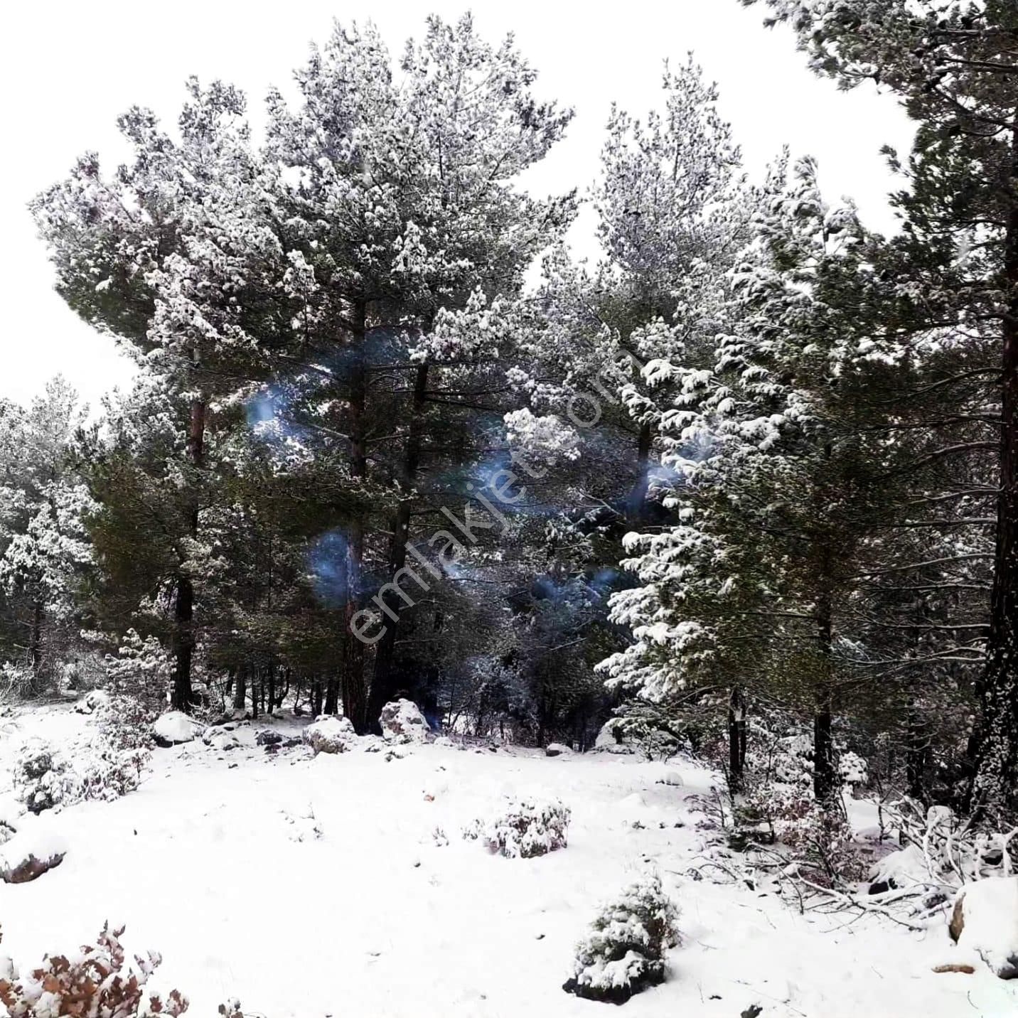 Kar Emlaktan Gökbez Yaylasında İmara Uygun 10 Dönüm Satılık Tarla - Görsel 11