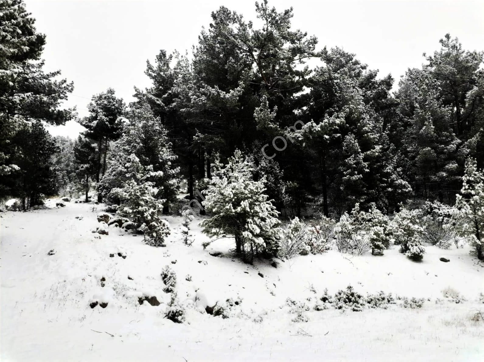 Kar Emlaktan Gökbez Yaylasında İmara Uygun 10 Dönüm Satılık Tarla - Görsel 30