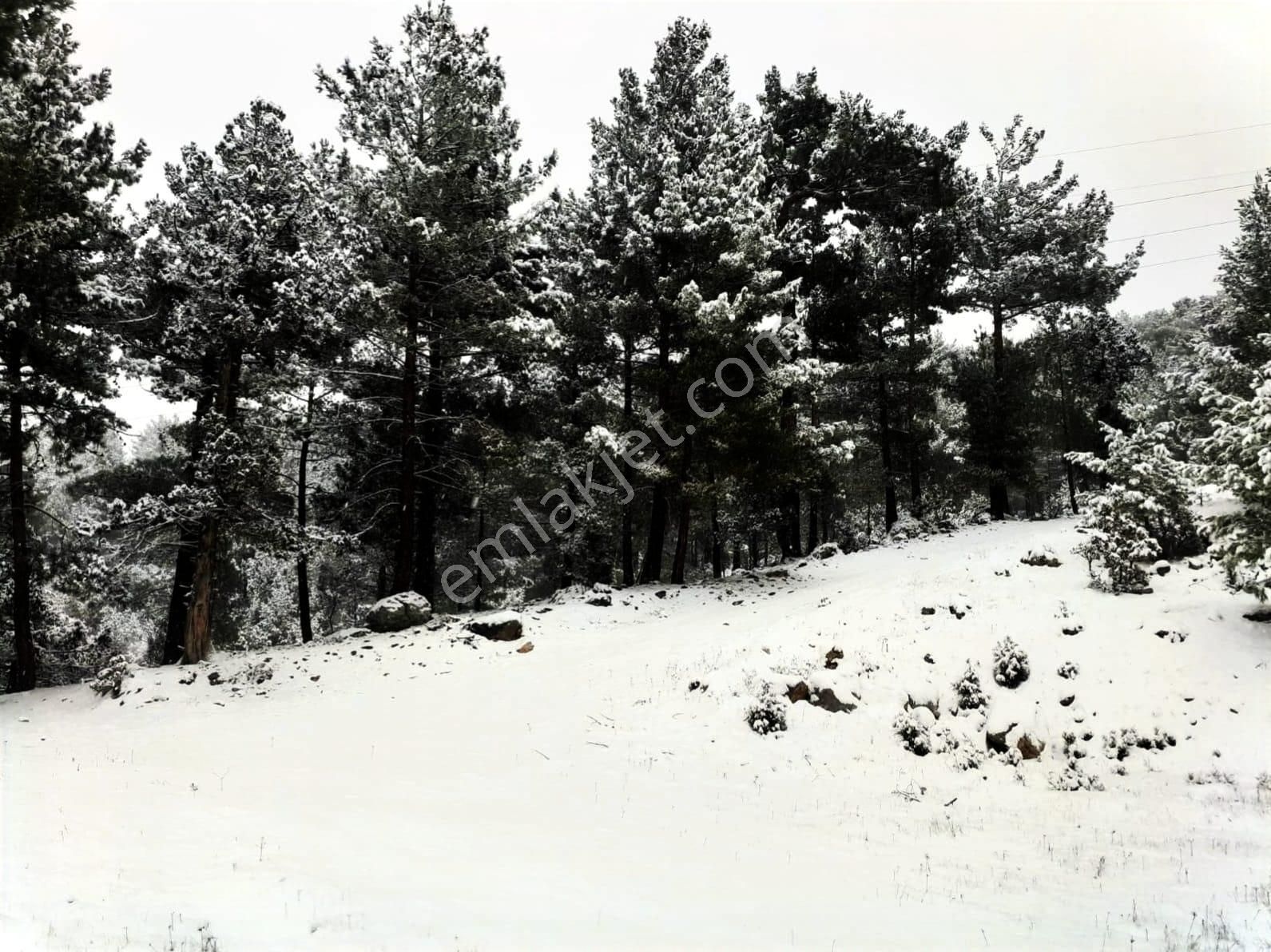 Kar Emlaktan Gökbez Yaylasında İmara Uygun 10 Dönüm Satılık Tarla - Görsel 20
