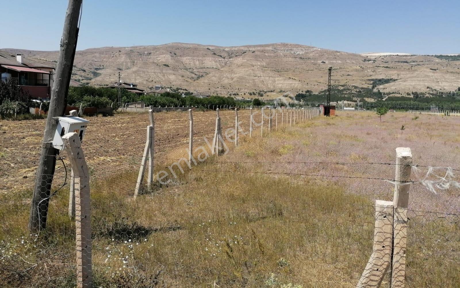 Net Yatırımdan Kumyurtta Hem Kullanışlı Hem Yatırımlık Tarla - Görsel 3