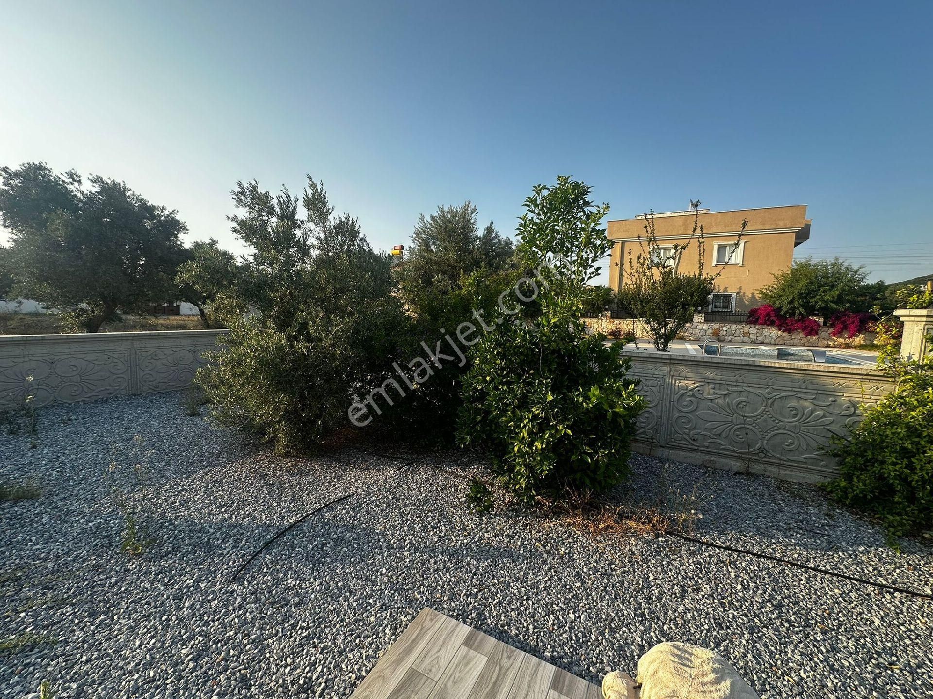 Didim Yeşiltepede Tam Müstakil Eşyalı 4+1 Havuzlu Villa - Görsel 9