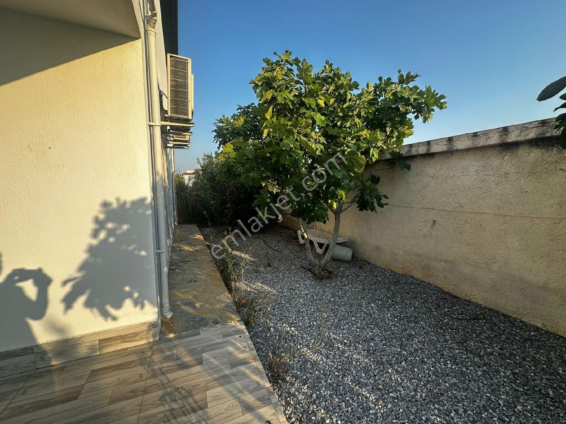 Didim Yeşiltepede Tam Müstakil Eşyalı 4+1 Havuzlu Villa - Görsel 34