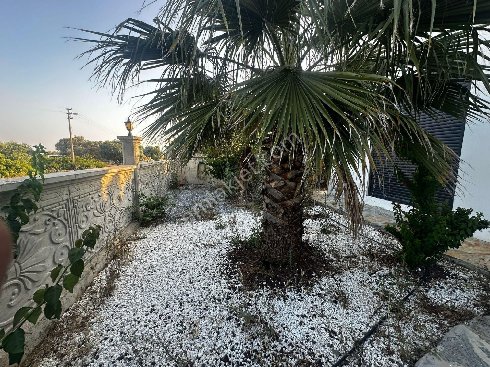 Didim Yeşiltepede Tam Müstakil Eşyalı 4+1 Havuzlu Villa - Görsel 12