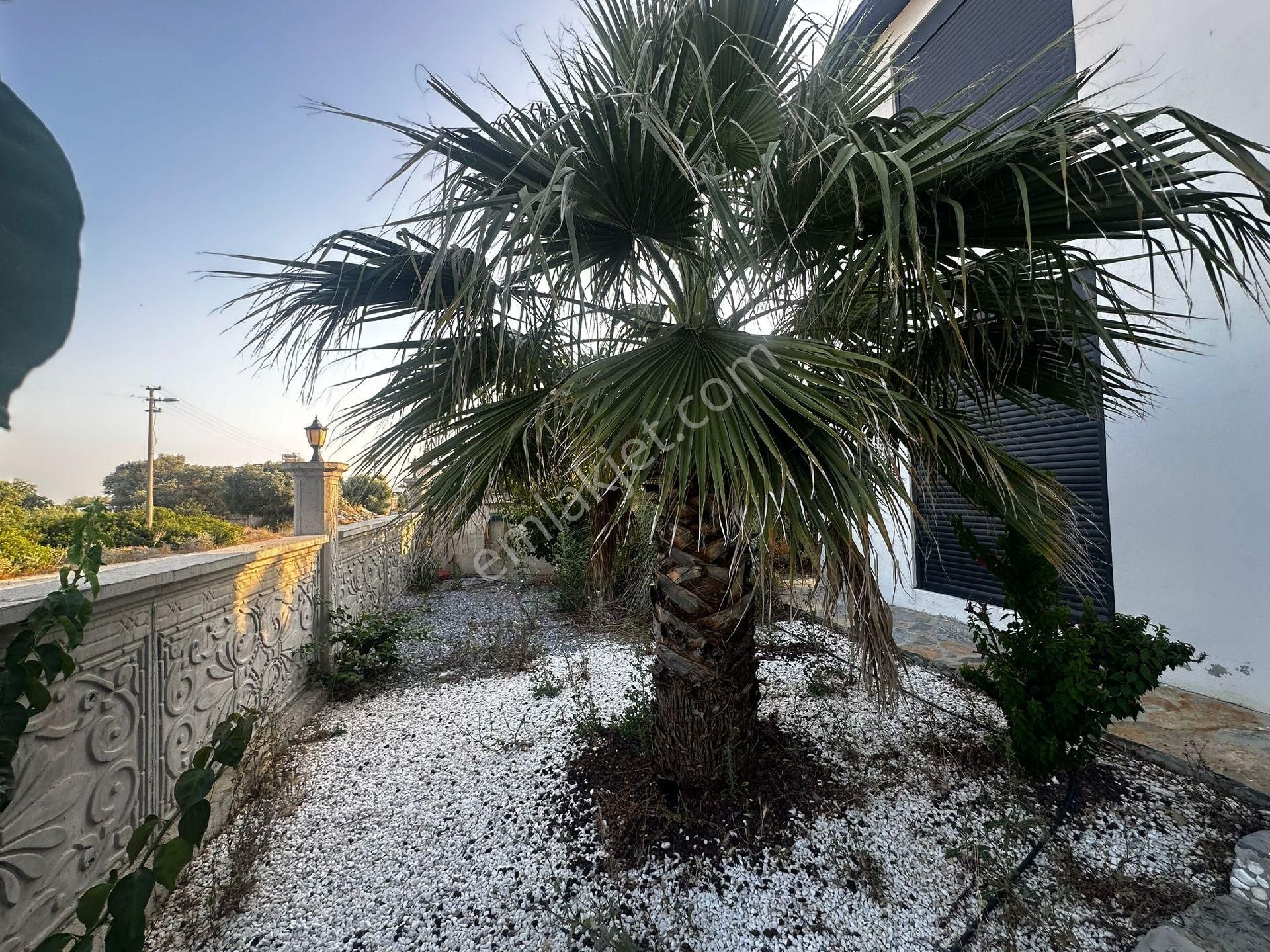 Didim Yeşiltepede Tam Müstakil Eşyalı 4+1 Havuzlu Villa - Görsel 28