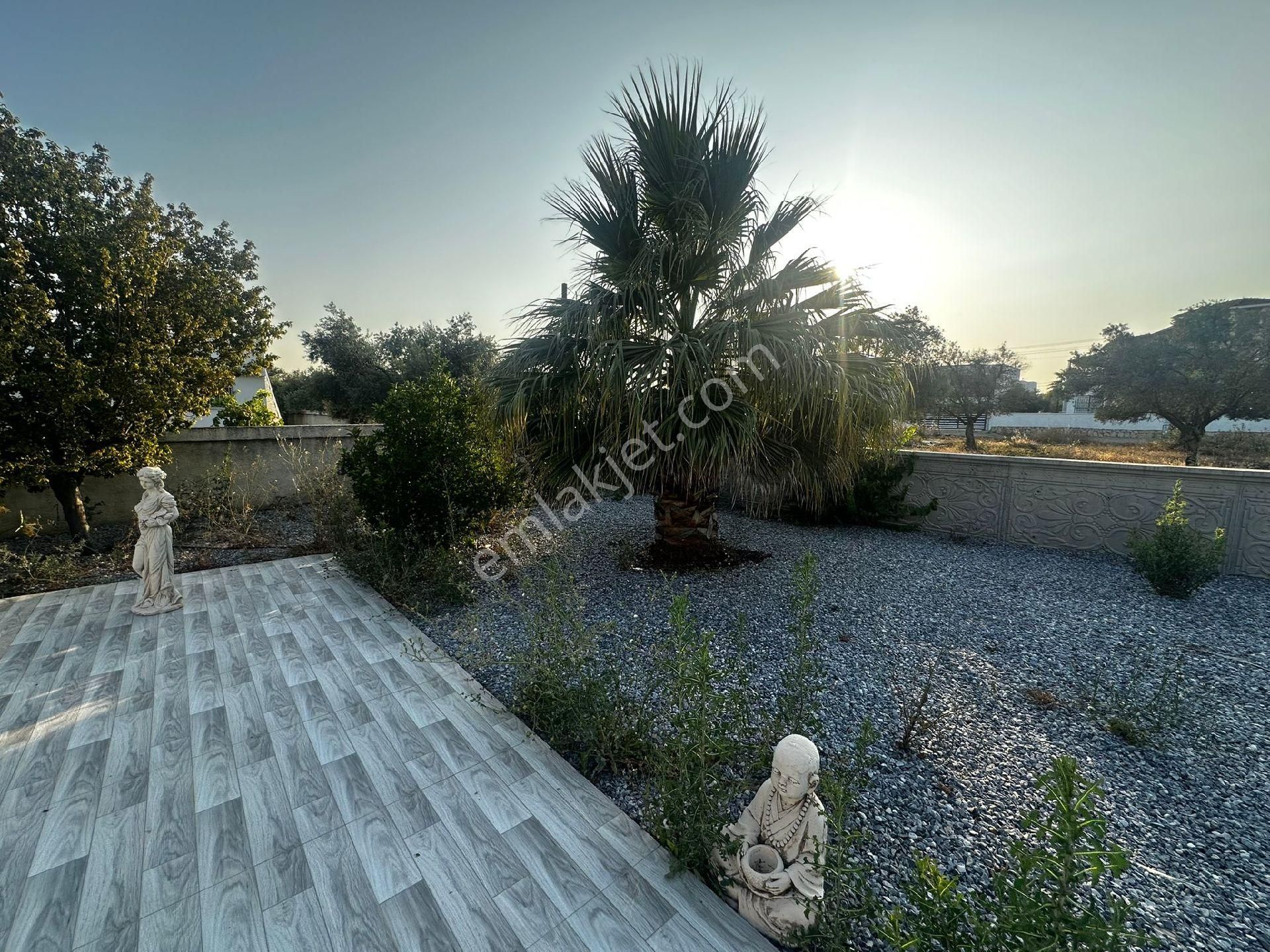 Didim Yeşiltepede Tam Müstakil Eşyalı 4+1 Havuzlu Villa - Görsel 8