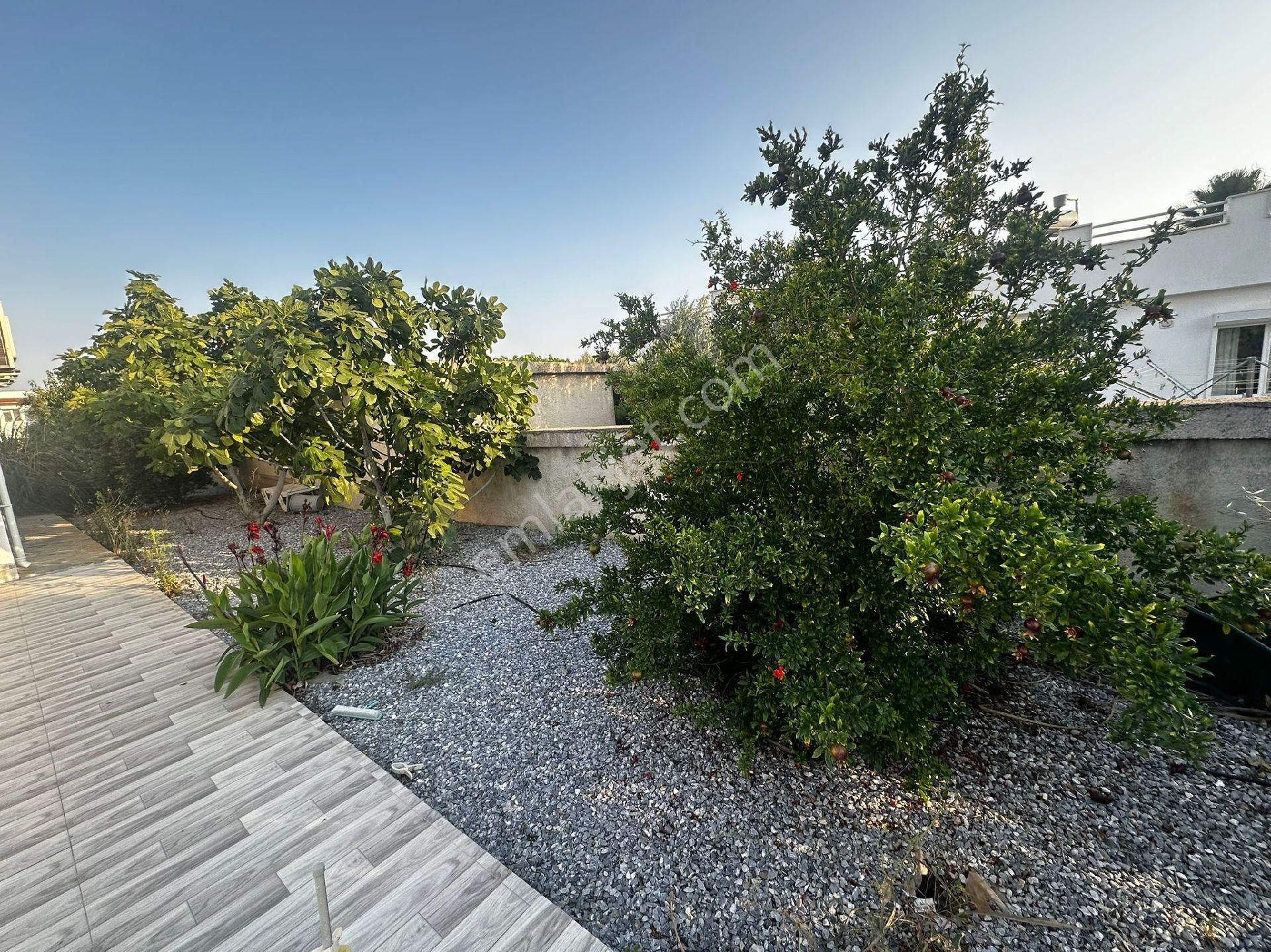 Didim Yeşiltepede Tam Müstakil Eşyalı 4+1 Havuzlu Villa - Görsel 5