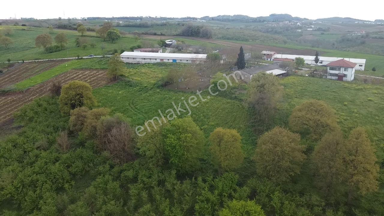 Kaynarca Kırktepede %40 İmarlı 1142 M² Yatırımlık Arsa Fırsatı - Görsel 9