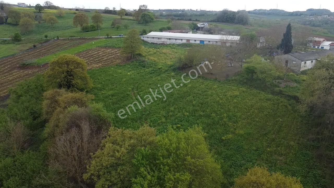 Kaynarca Kırktepede %40 İmarlı 1142 M² Yatırımlık Arsa Fırsatı - Görsel 10