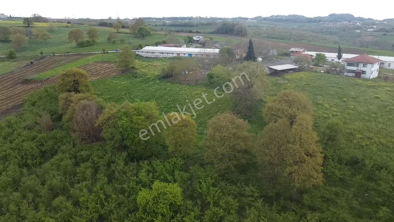 Kaynarca Kırktepede %40 İmarlı 1142 M² Yatırımlık Arsa Fırsatı - Görsel 15