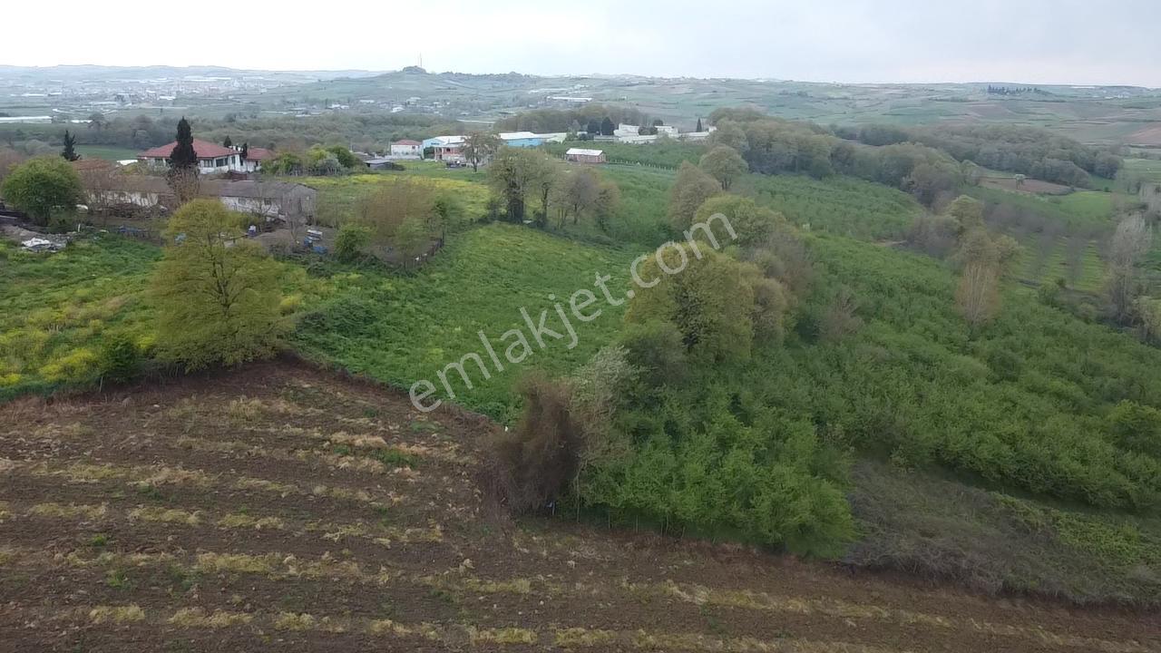 Kaynarca Kırktepede %40 İmarlı 1142 M² Yatırımlık Arsa Fırsatı - Görsel 17