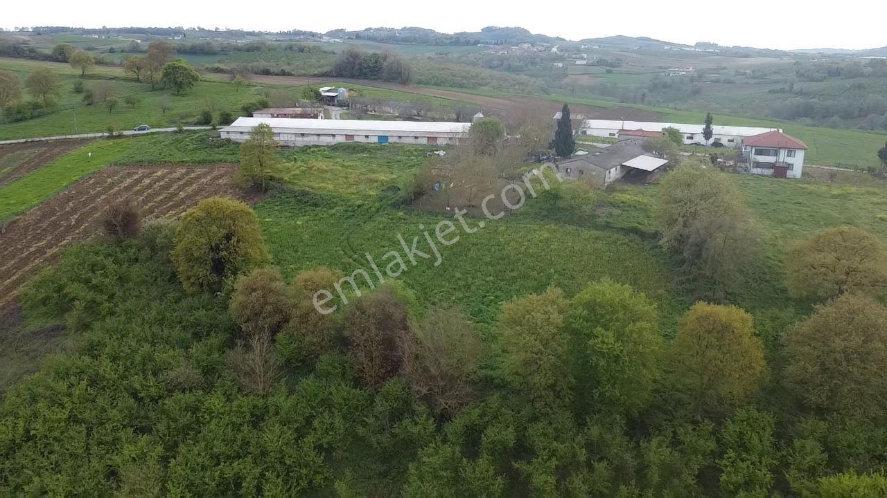 Kaynarca Kırktepede %40 İmarlı 1142 M² Yatırımlık Arsa Fırsatı - Görsel 16