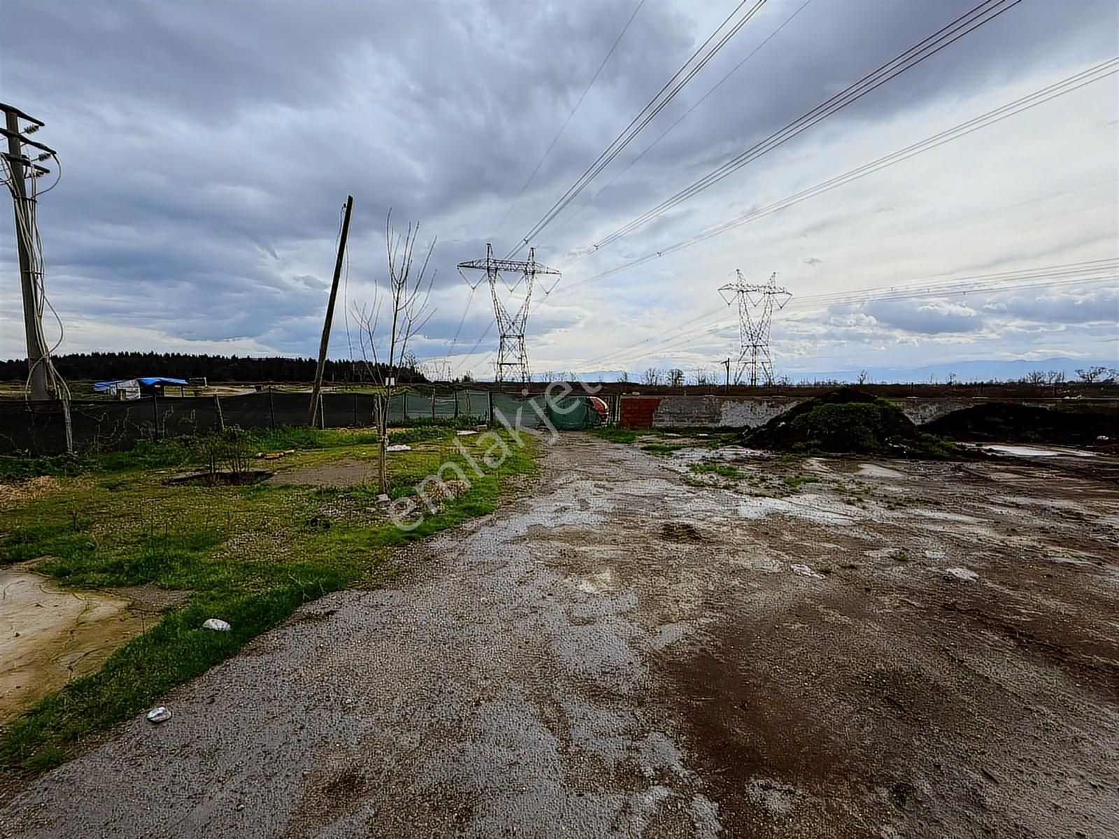 Adapazarı Tekelerde 4381m2 Asfalt'a Cephe Fırsat - Görsel 9