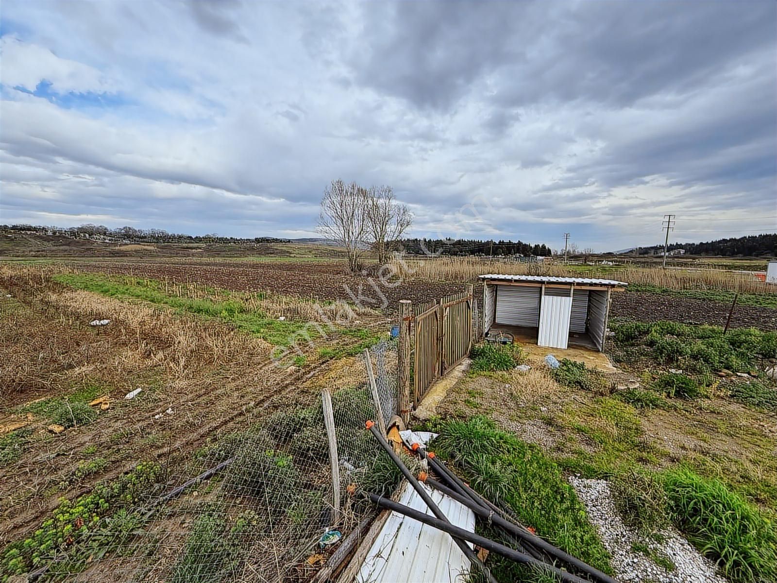 Adapazarı Tekelerde 4381m2 Asfalt'a Cephe Fırsat - Görsel 6