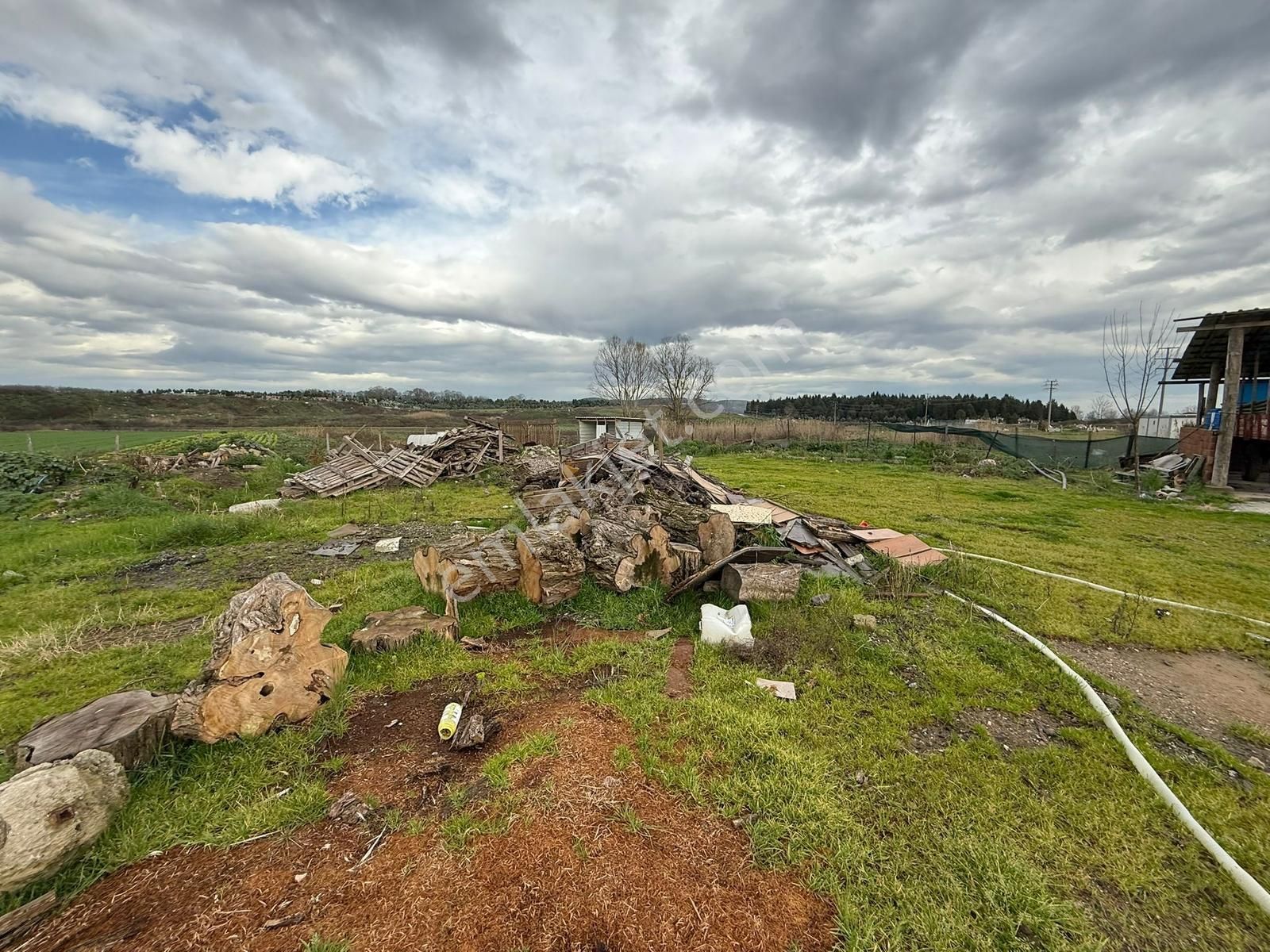 Adapazarı Tekelerde 4381m2 Asfalt'a Cephe Fırsat - Görsel 13