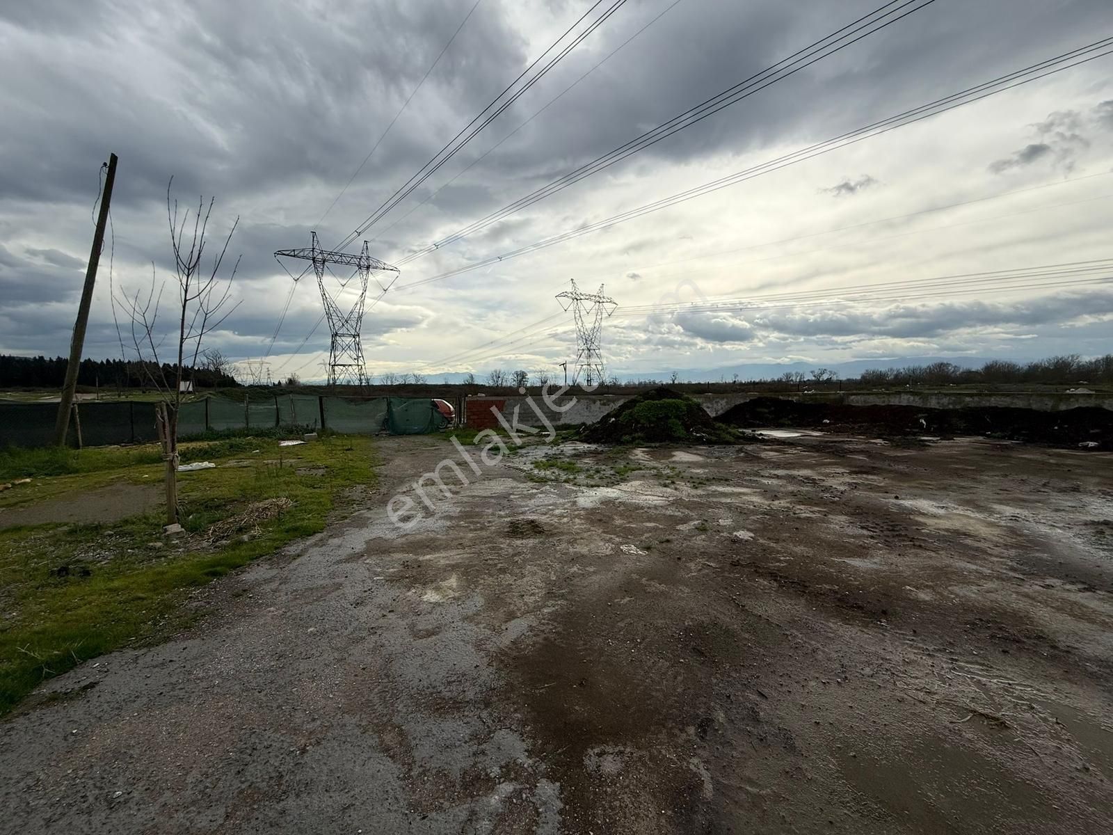 Adapazarı Tekelerde 4381m2 Asfalt'a Cephe Fırsat - Görsel 27