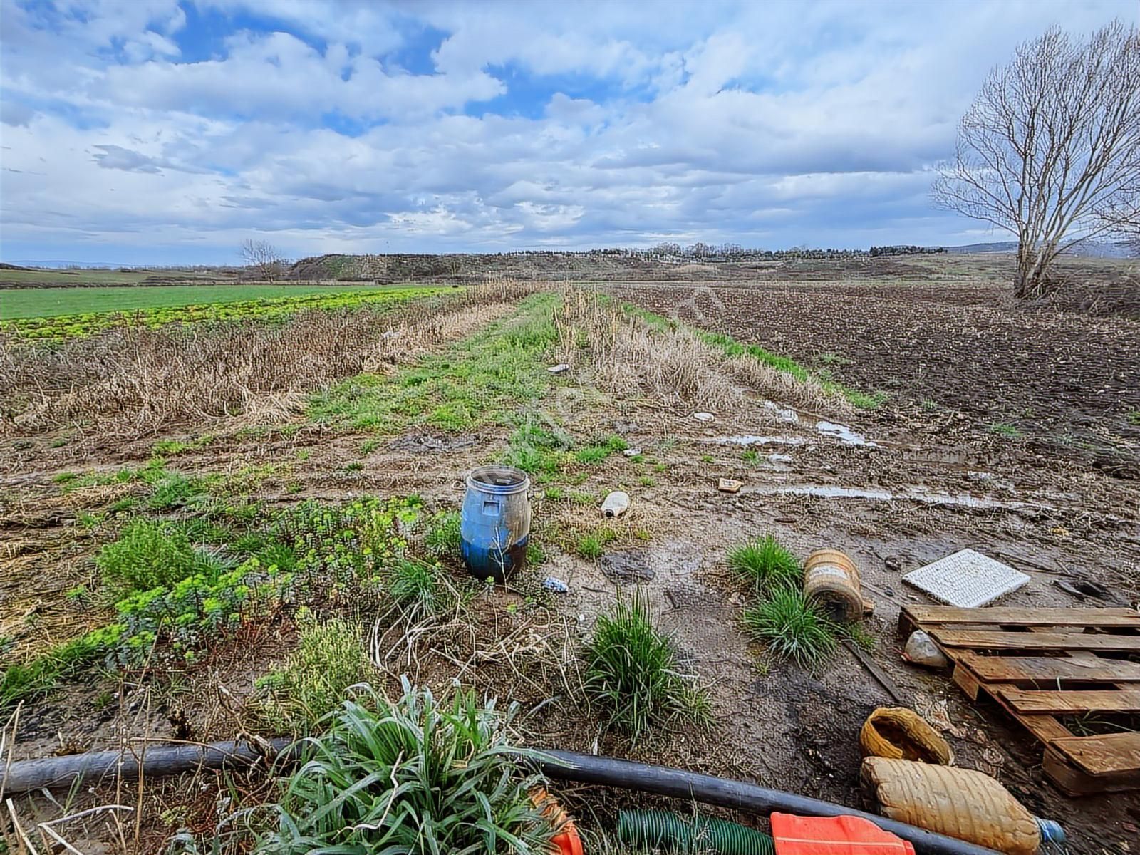 Adapazarı Tekelerde 4381m2 Asfalt'a Cephe Fırsat - Görsel 4