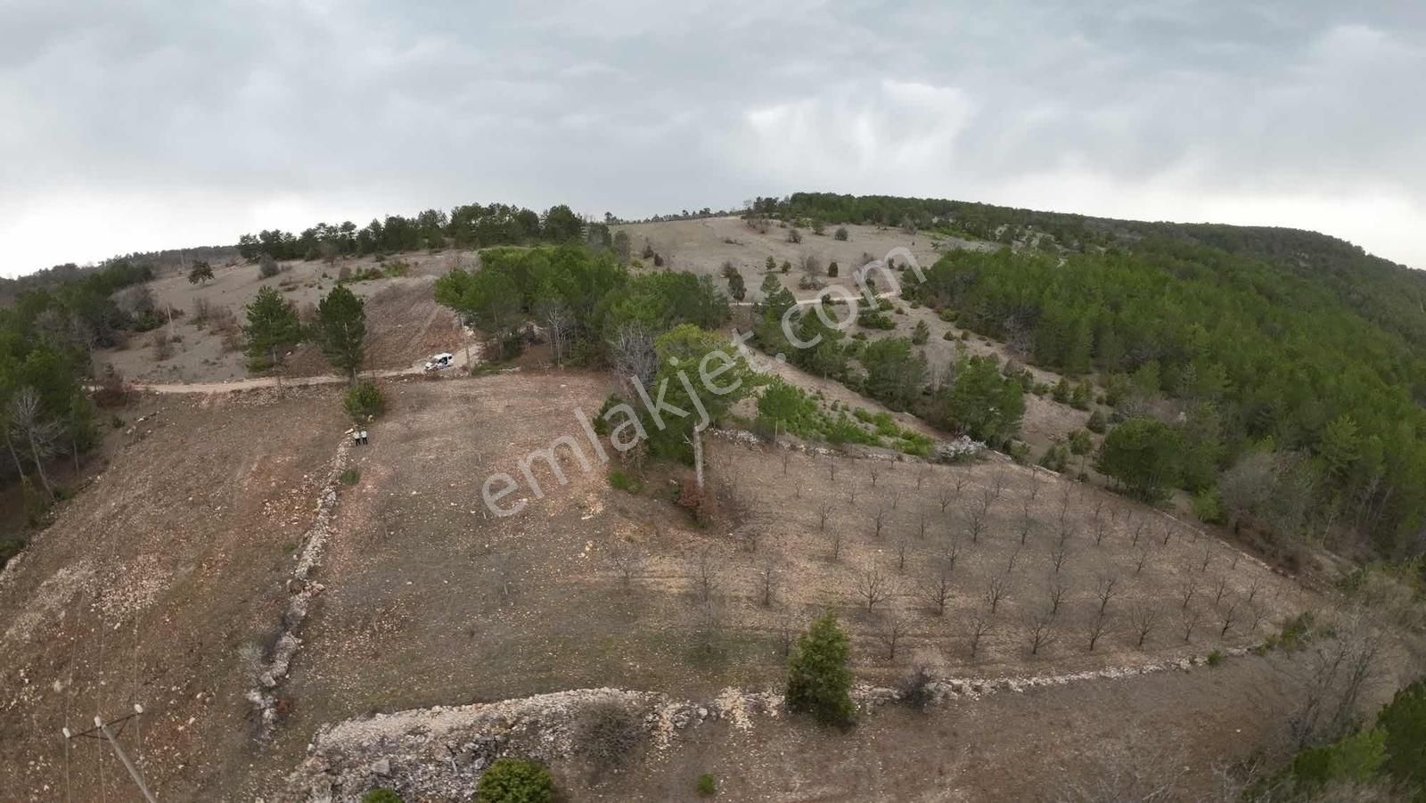 Tek Tapu Bakımlı Keles Alpagut Temiz 4300 Mt2 Arazi - Görsel 4