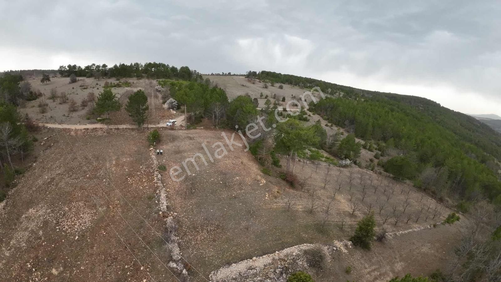 Tek Tapu Bakımlı Keles Alpagut Temiz 4300 Mt2 Arazi - Görsel 9