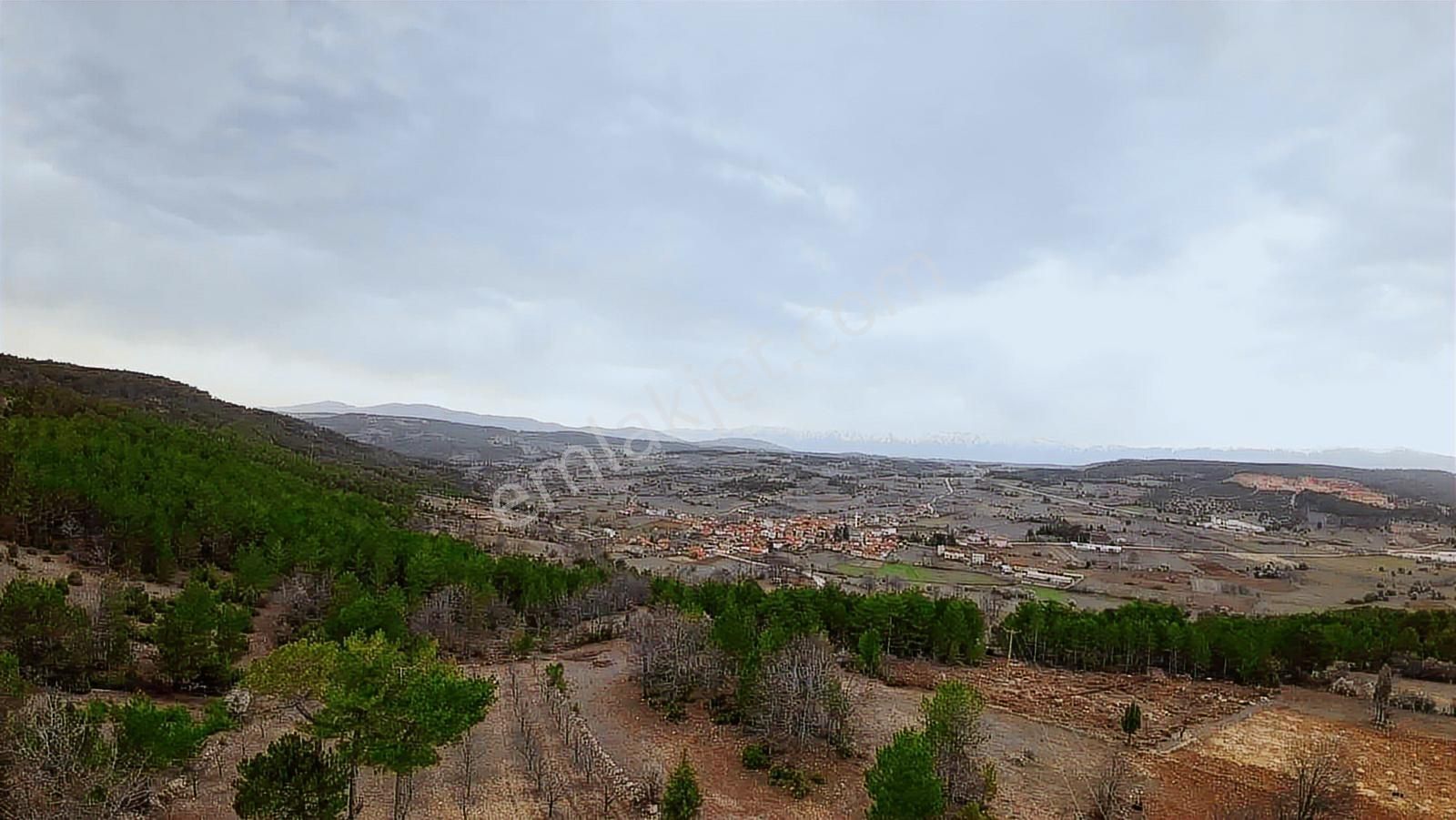Tek Tapu Bakımlı Keles Alpagut Temiz 4300 Mt2 Arazi - Görsel 14