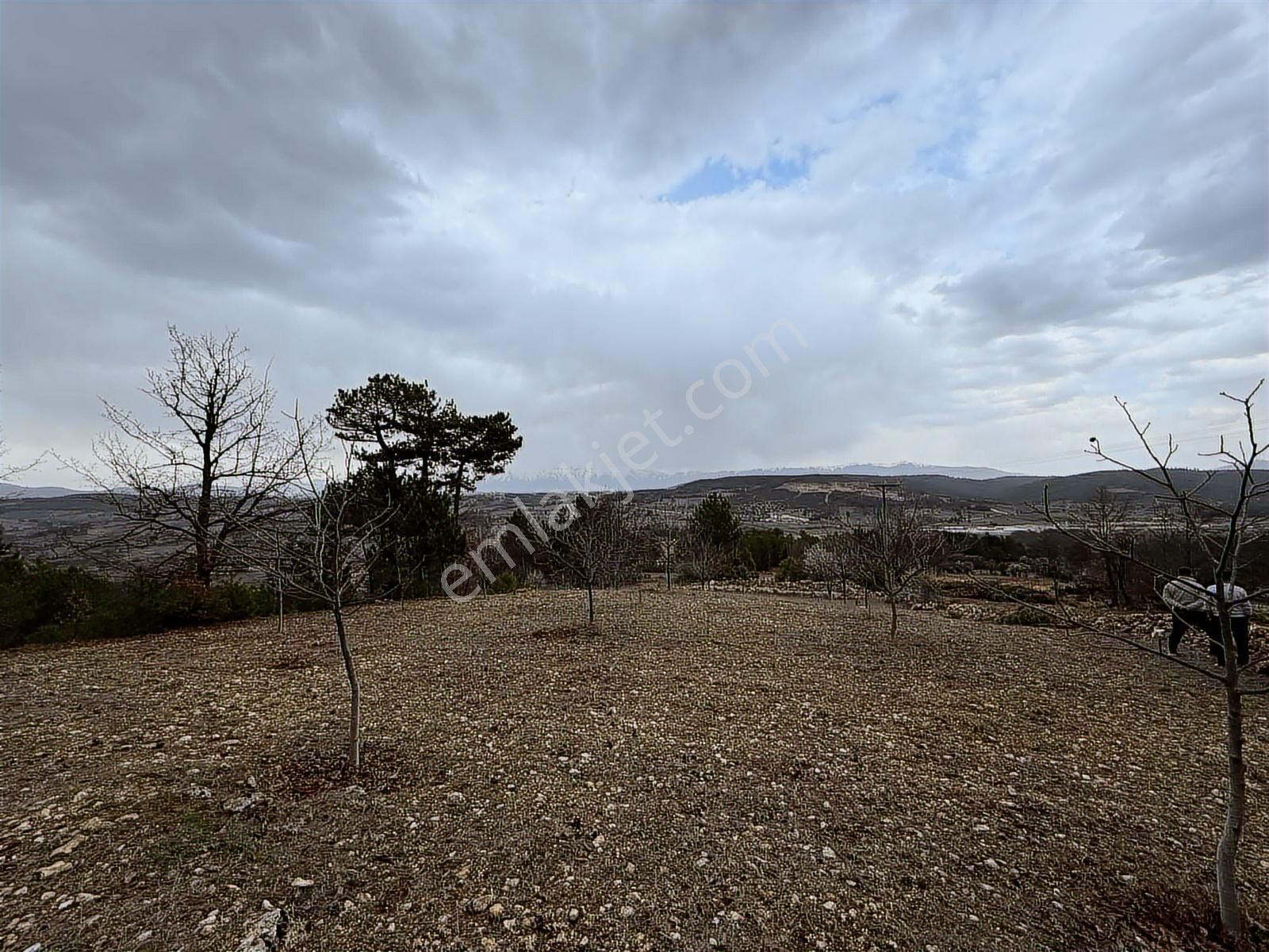 Tek Tapu Bakımlı Keles Alpagut Temiz 4300 Mt2 Arazi - Görsel 2