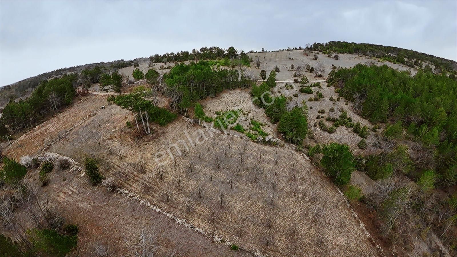 Tek Tapu Bakımlı Keles Alpagut Temiz 4300 Mt2 Arazi - Görsel 13