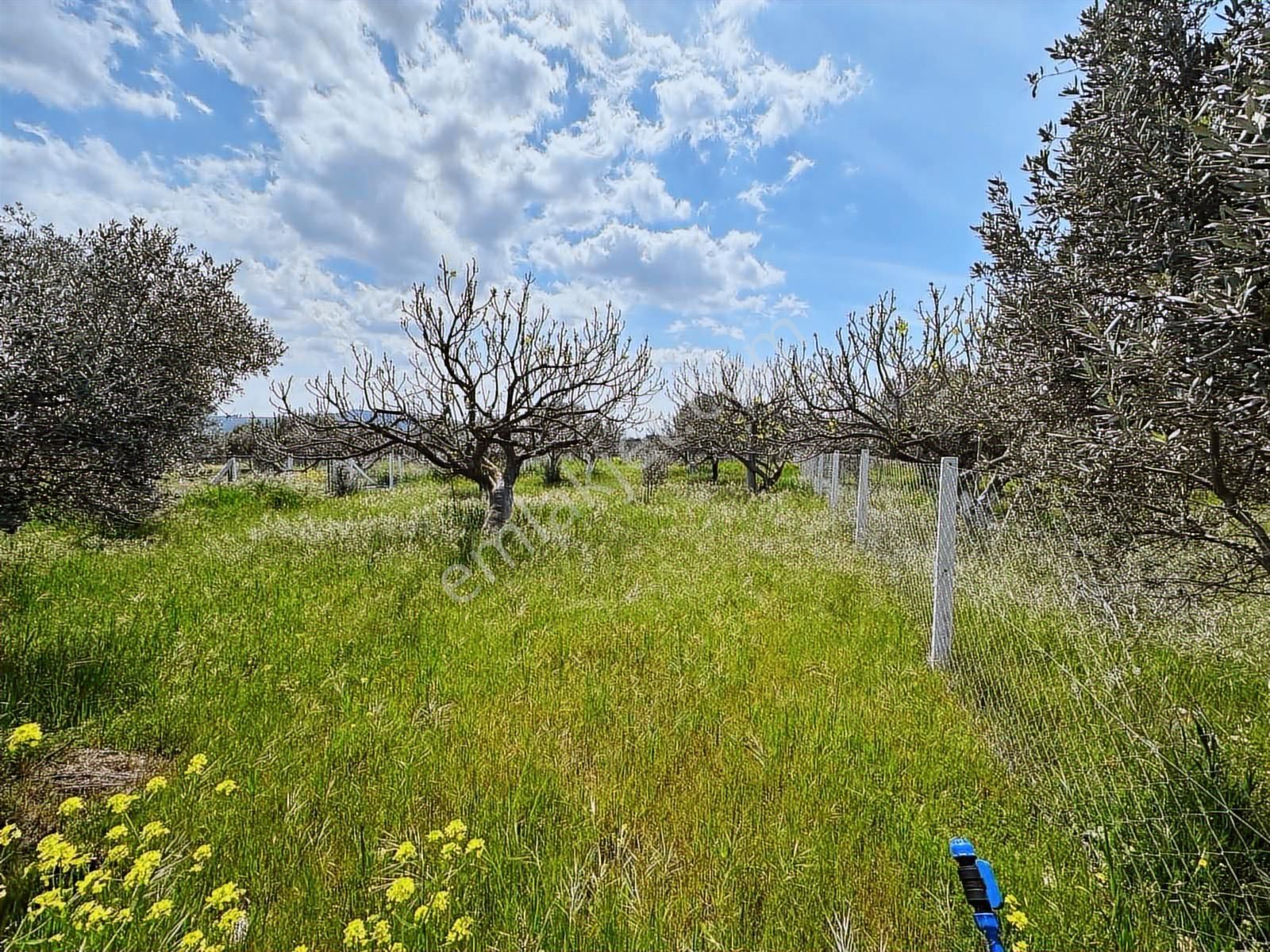 Satılık Mirastan Bölme - Görsel 2