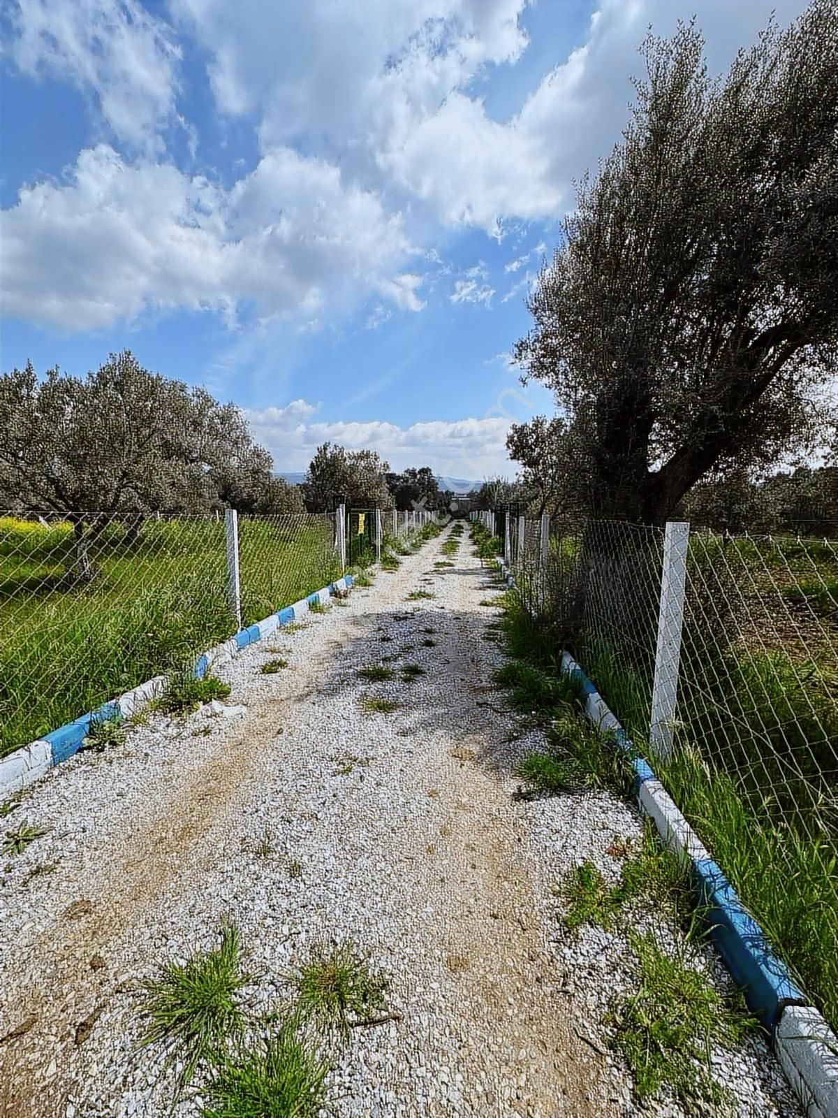 Satılık Mirastan Bölme - Görsel 8