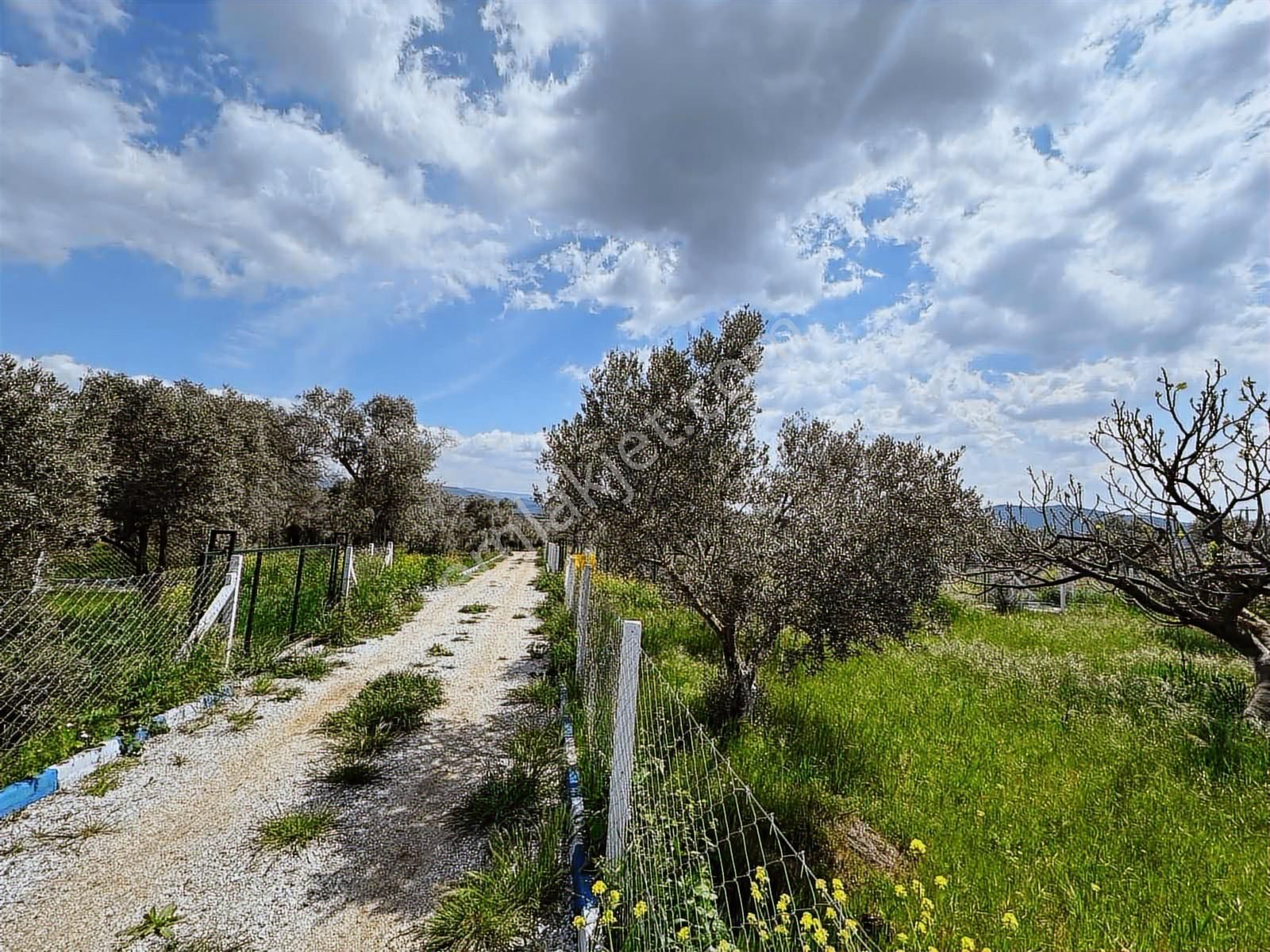 Satılık Mirastan Bölme - Görsel 7