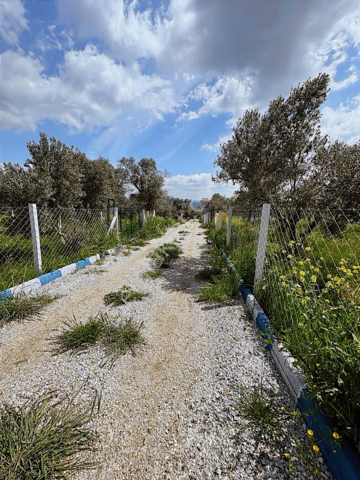 Satılık Mirastan Bölme