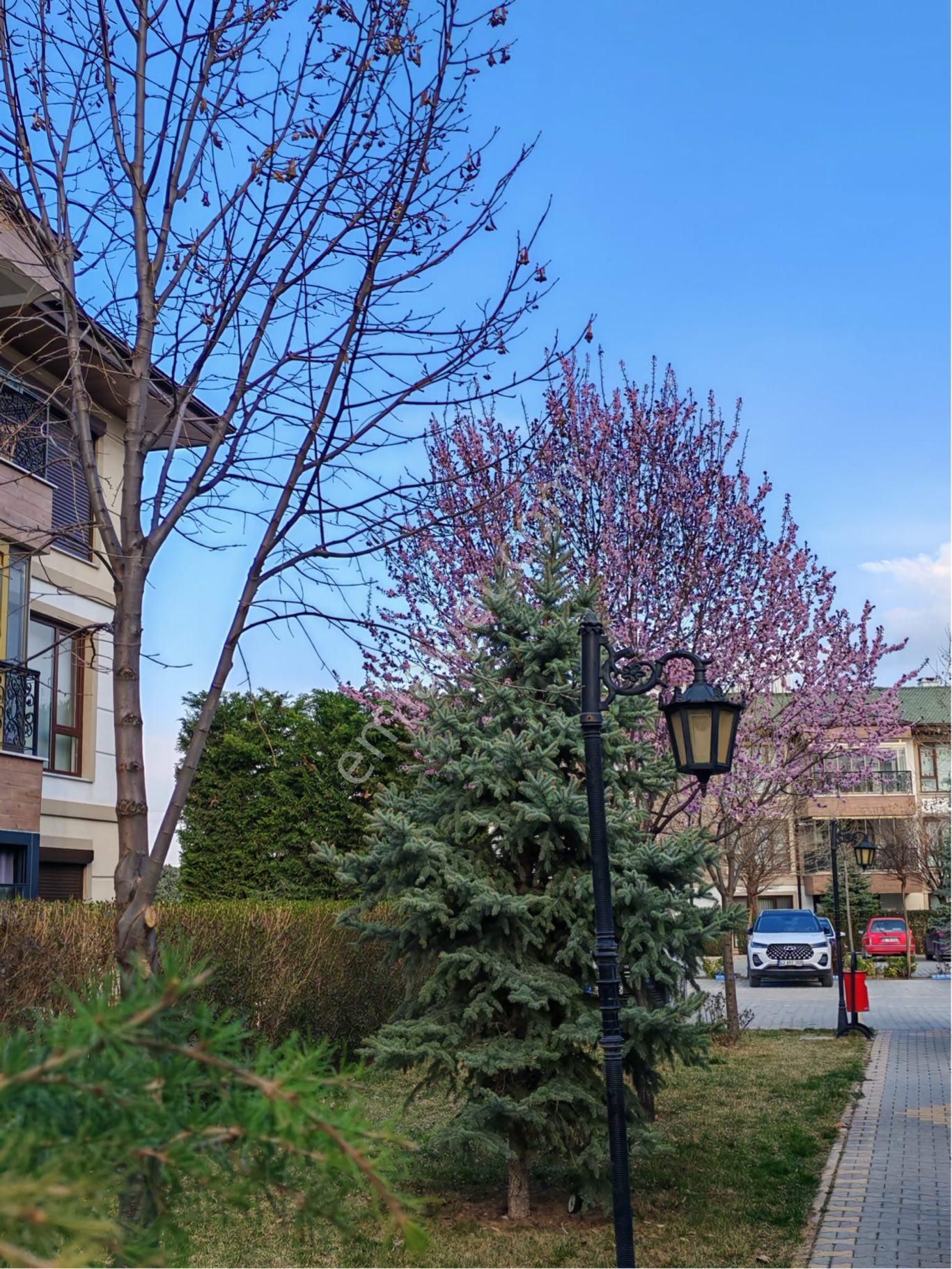 Emin Gyo'dan Meram Asmalıbahçe Konakları'nda Lüks Bahçeli 4+1 - Görsel 3