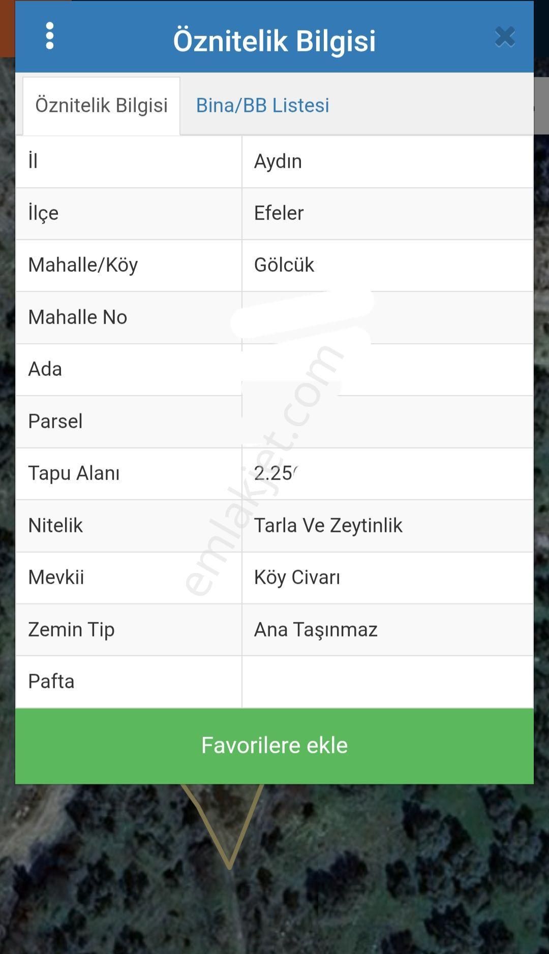 Aydın Efeler Gölcük Mahallesinde Satılık Verimli Zeytinlik
