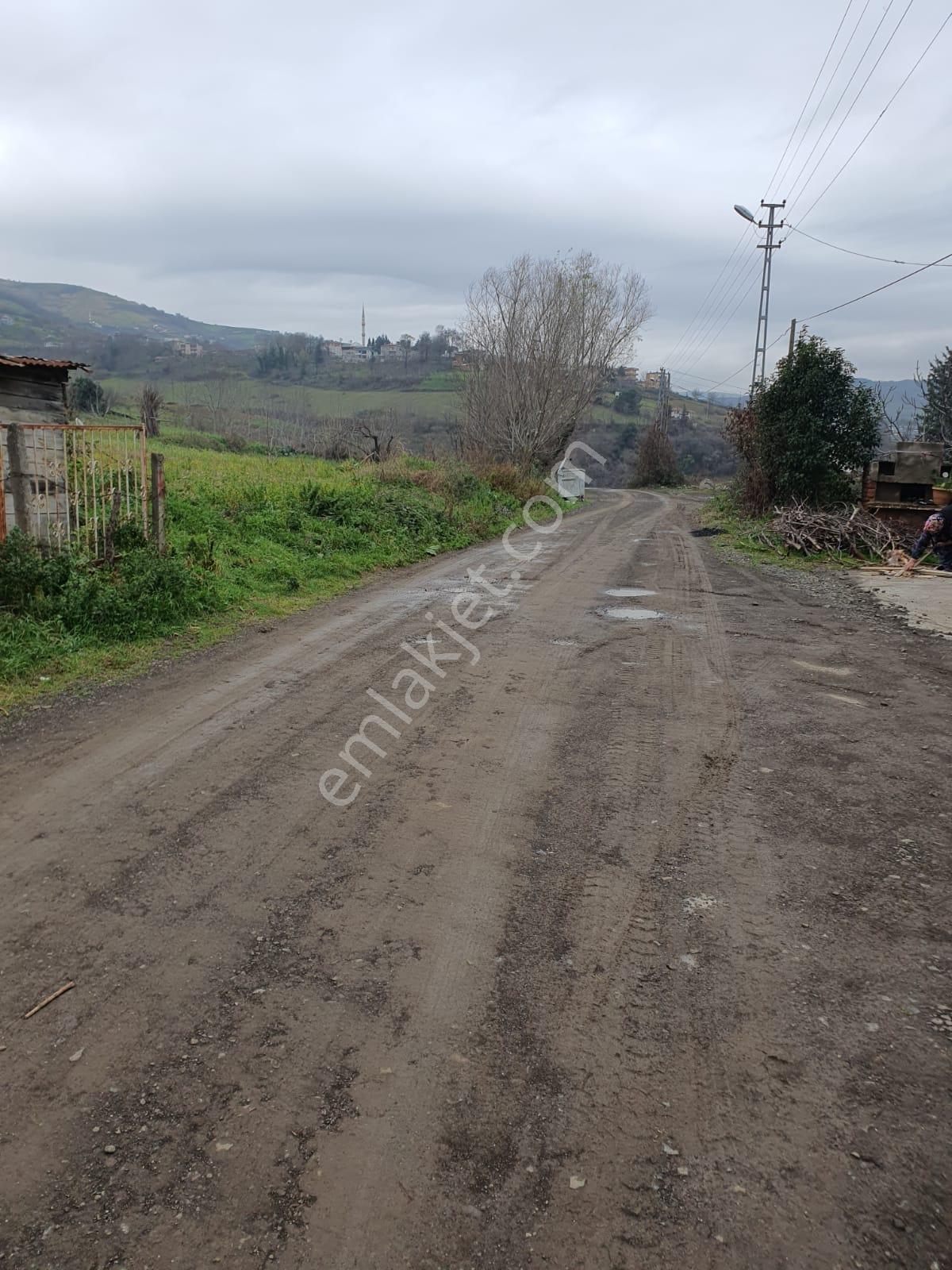 Yıldız Gayrimenkul'den Şehir Hastanesi'ne Yakın Konumda Satılık 751 M2 Arsa - Görsel 8