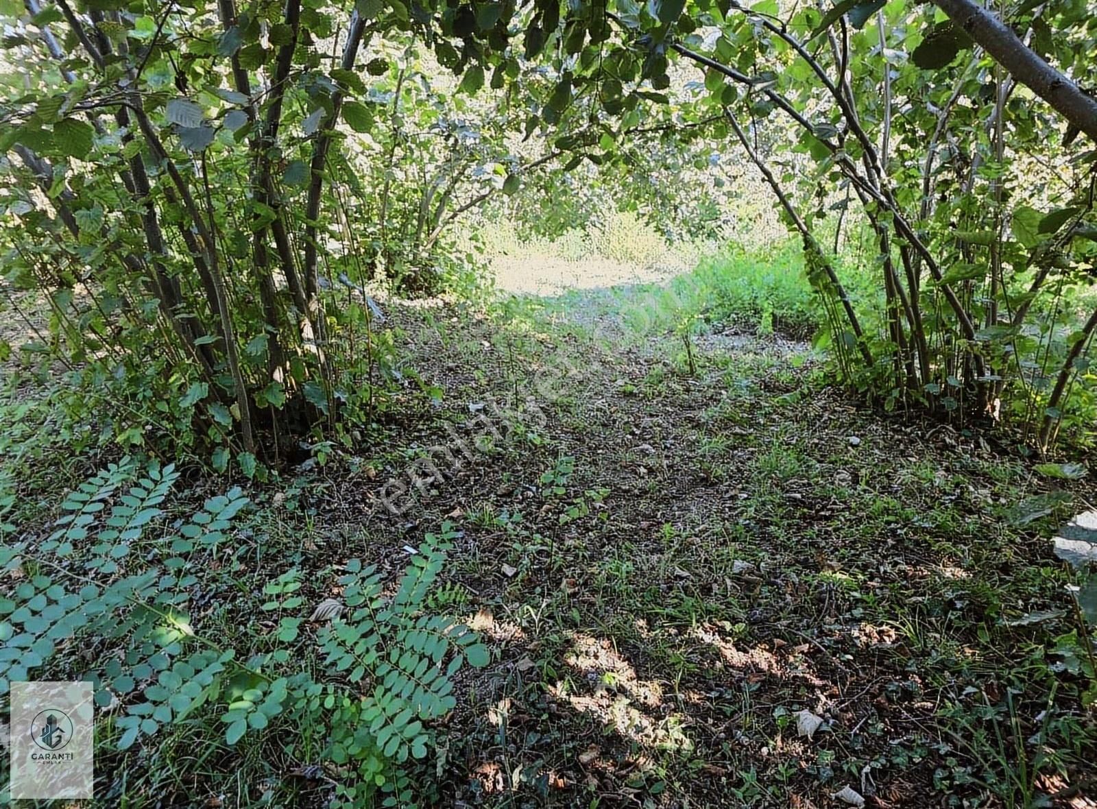 Şehre 20 Dakika Mesafede Doğan Köyde 3 Dönüm Düz Arazi Satılık - Görsel 10