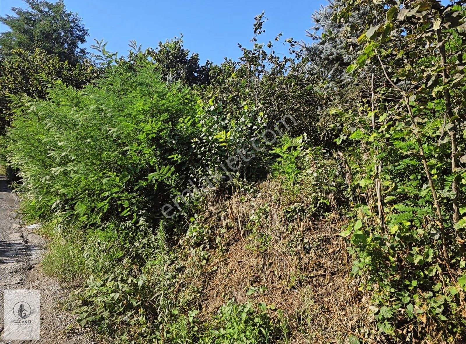 Şehre 20 Dakika Mesafede Doğan Köyde 3 Dönüm Düz Arazi Satılık - Görsel 14