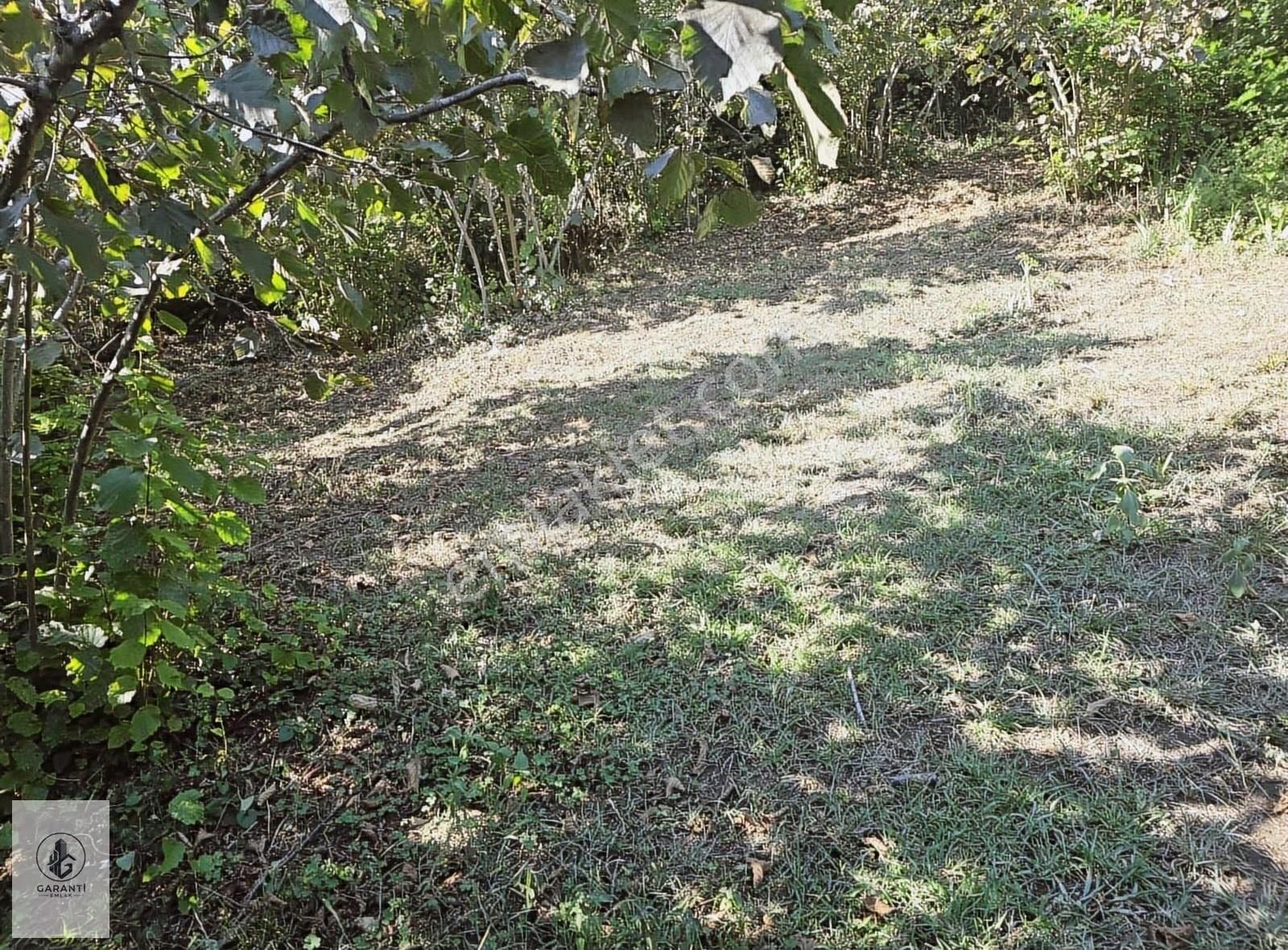 Şehre 20 Dakika Mesafede Doğan Köyde 3 Dönüm Düz Arazi Satılık - Görsel 6