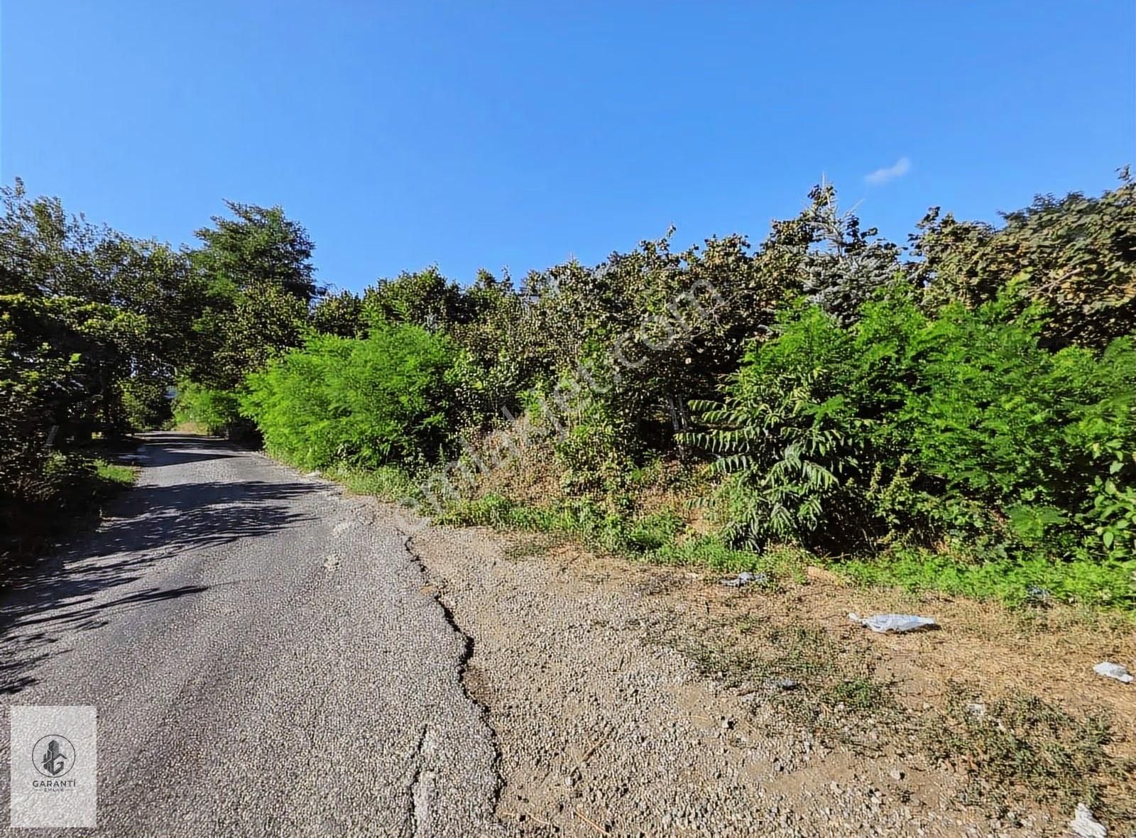 Şehre 20 Dakika Mesafede Doğan Köyde 3 Dönüm Düz Arazi Satılık - Görsel 8