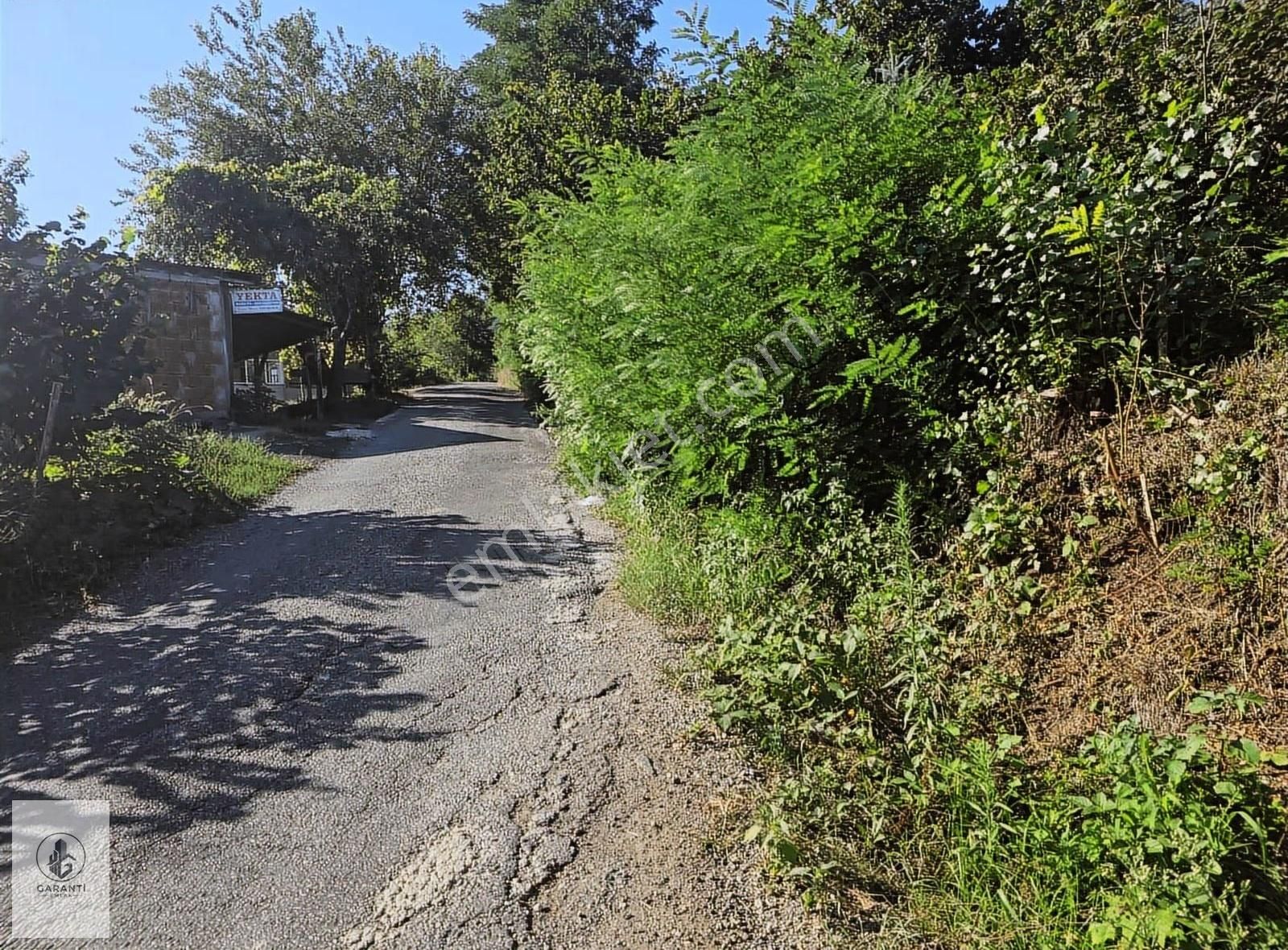 Şehre 20 Dakika Mesafede Doğan Köyde 3 Dönüm Düz Arazi Satılık - Görsel 11